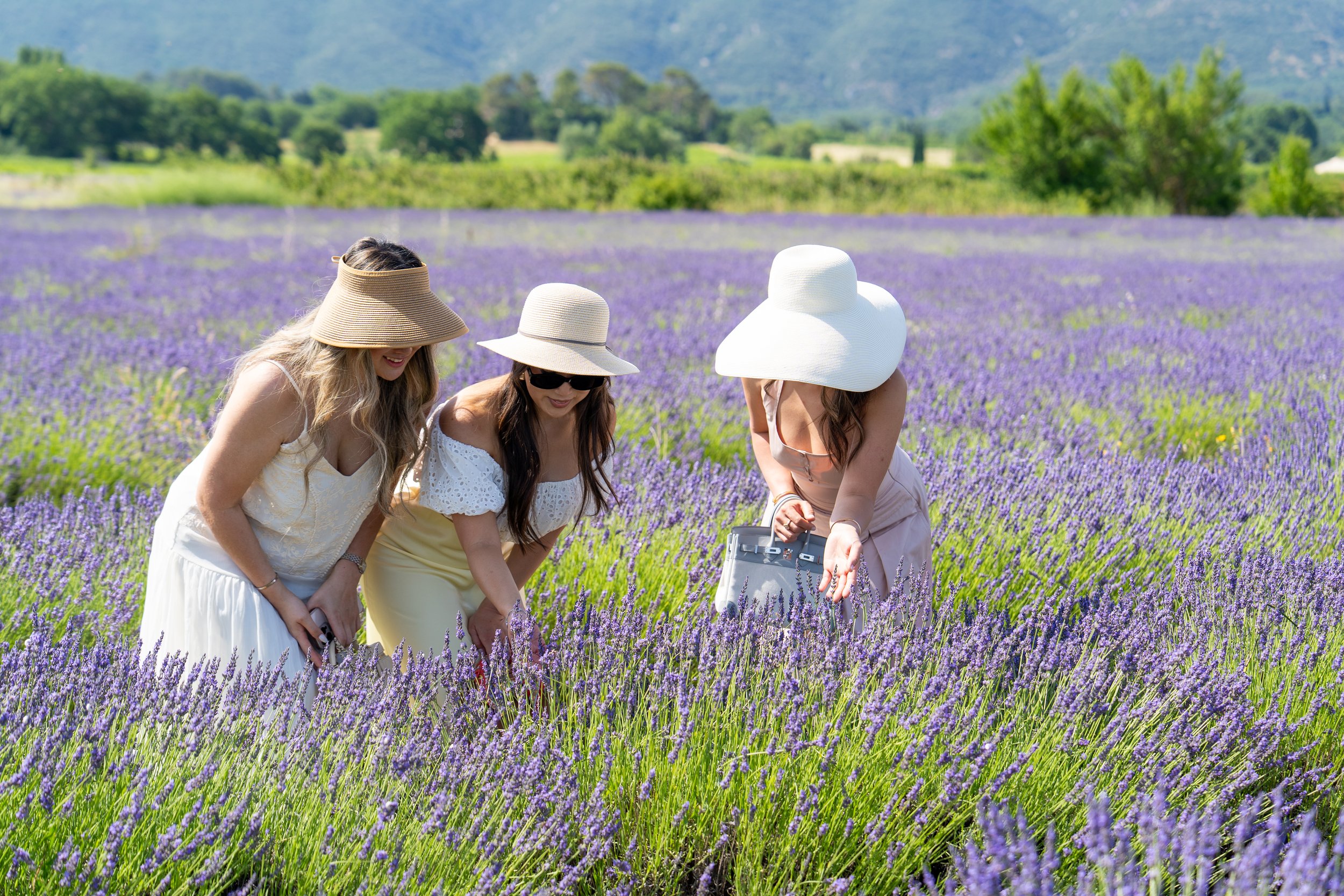 2026 Provence Part 1 (219 of 290).jpg