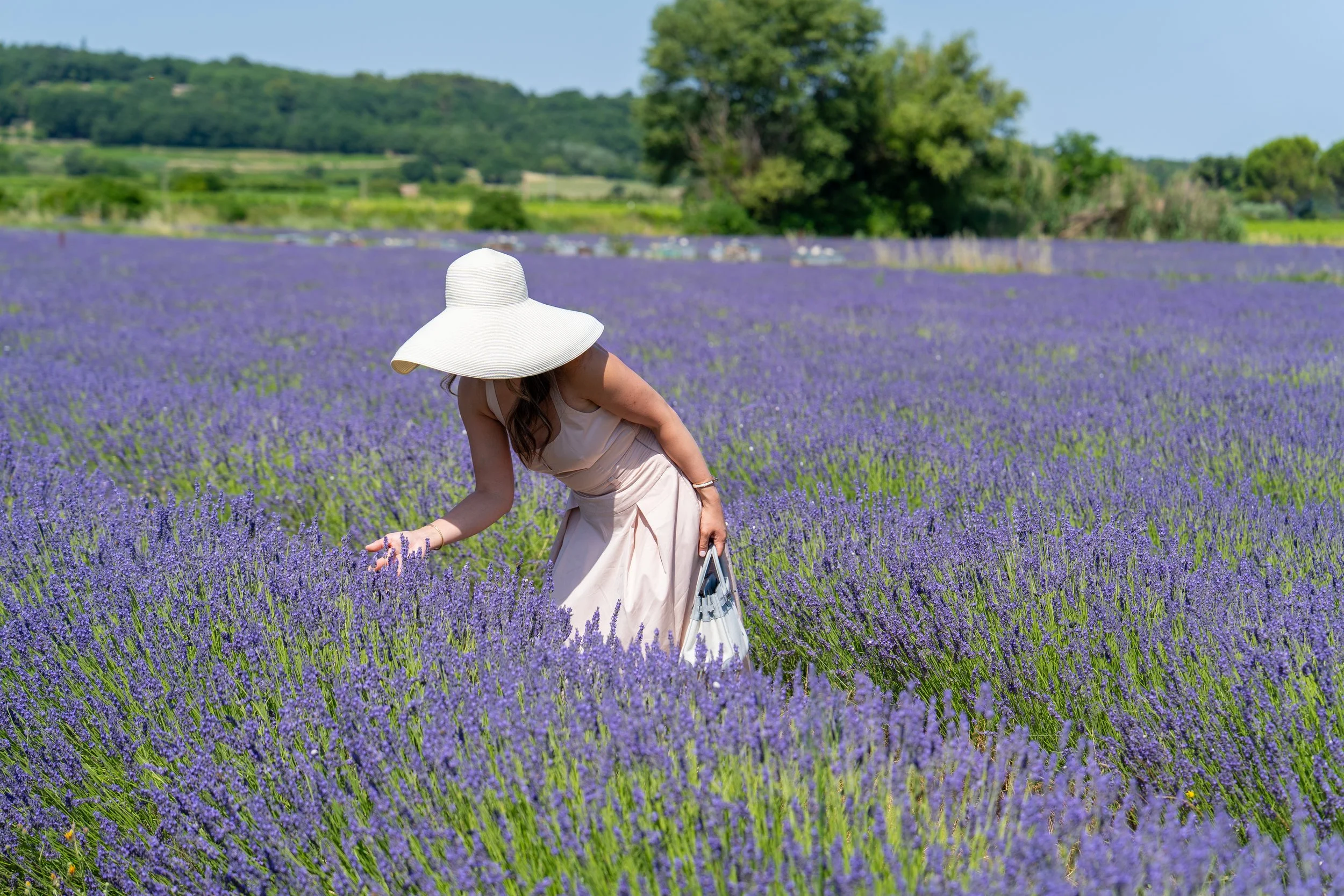 2026 Provence Part 1 (225 of 290).jpg