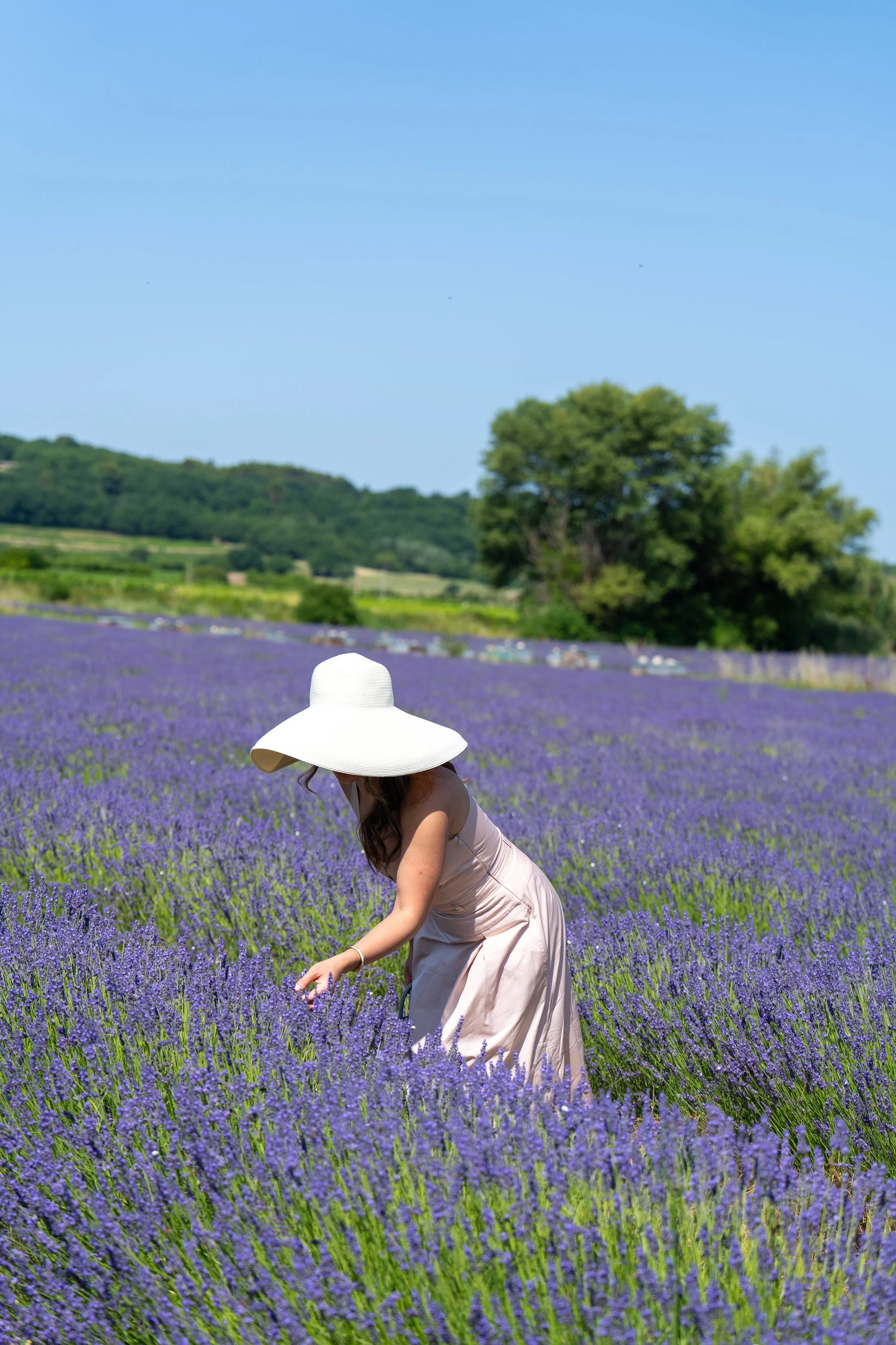 2026 Provence Part 1 (226 of 290).jpg