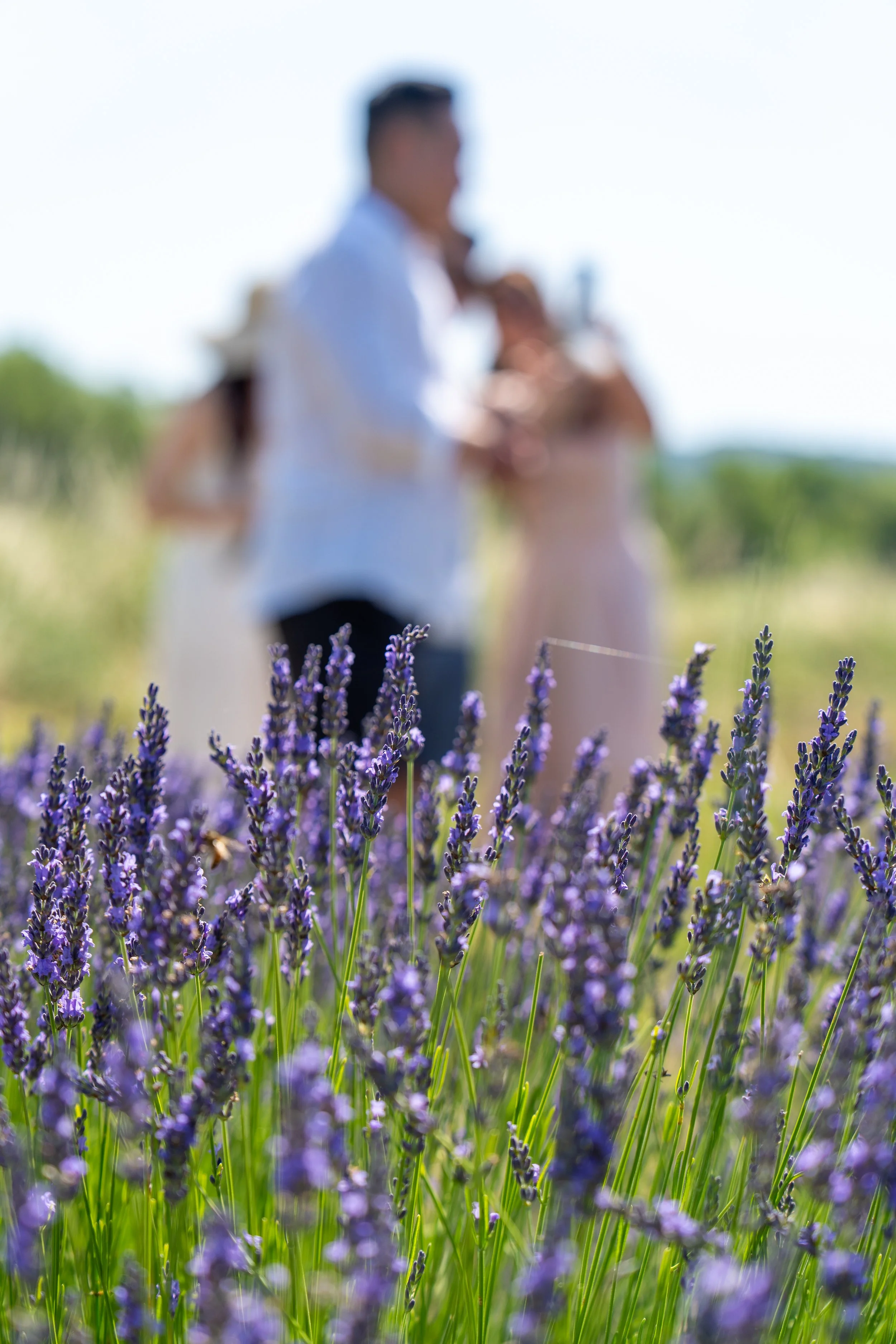 2026 Provence Part 1 (231 of 290).jpg