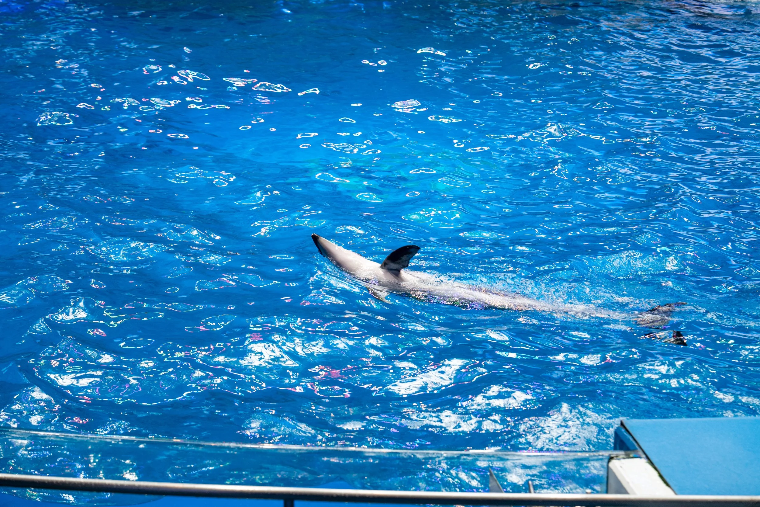 2026 Tokyo (401 of 610).jpg