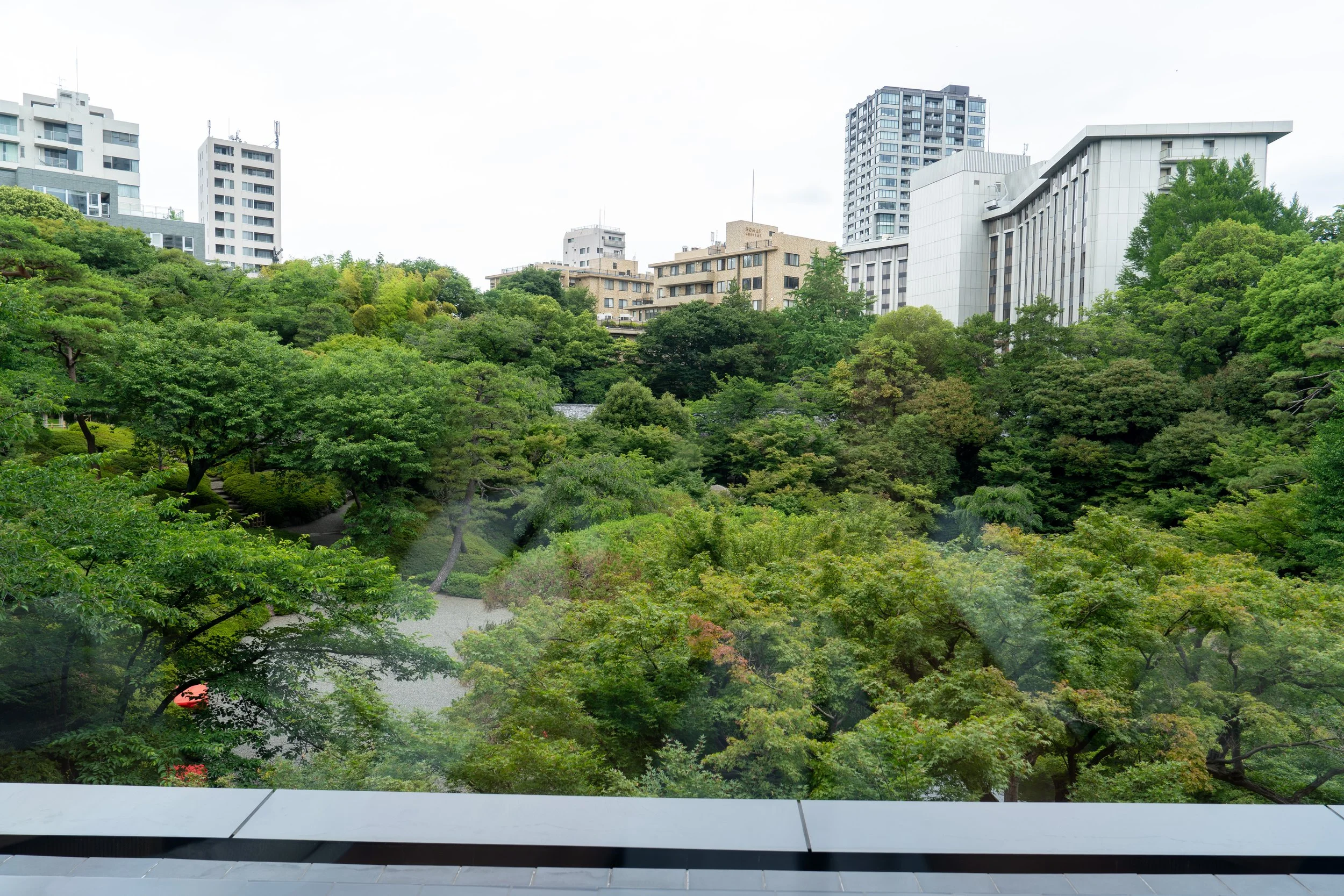 2026 Tokyo (483 of 610).jpg