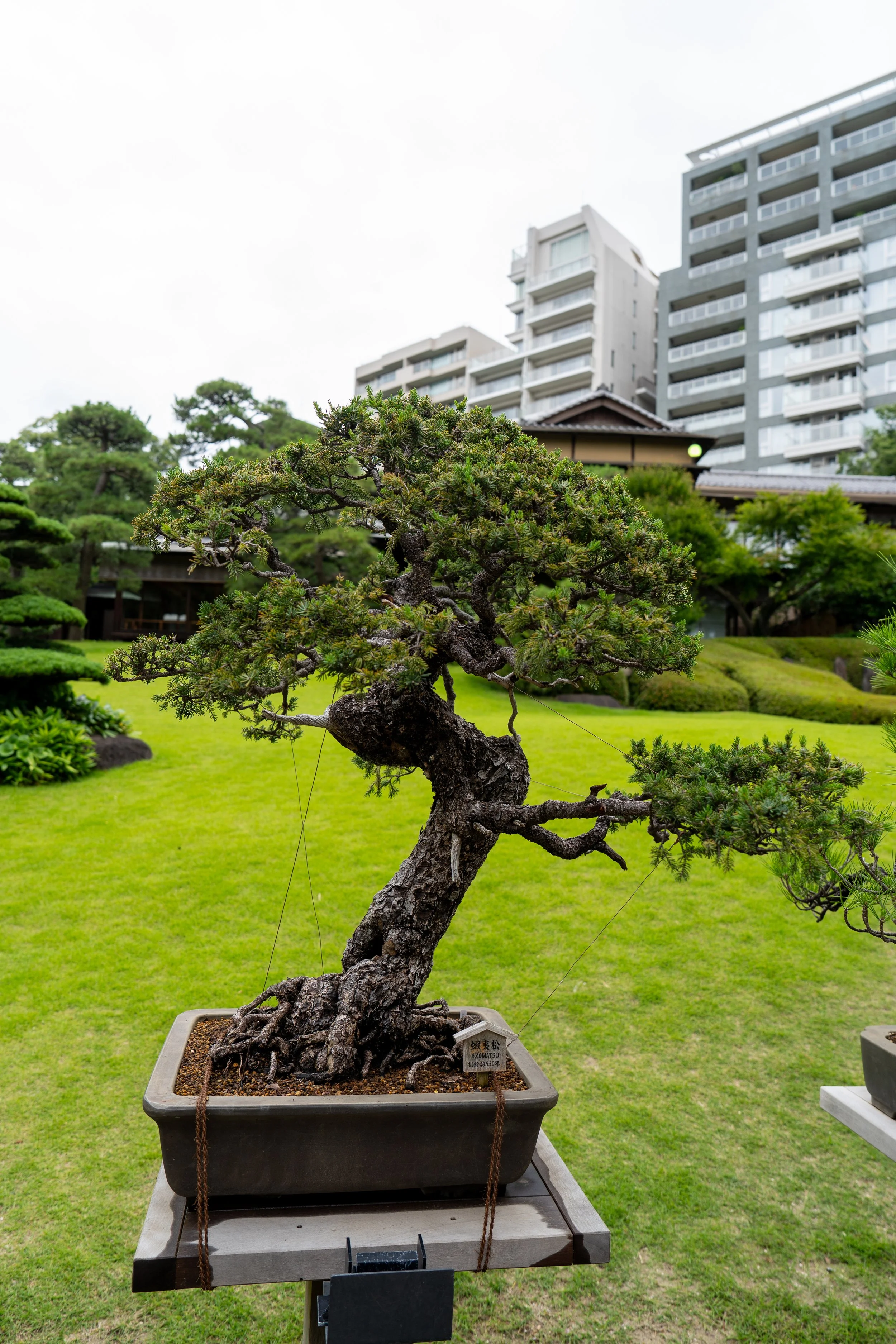 2026 Tokyo (507 of 610).jpg