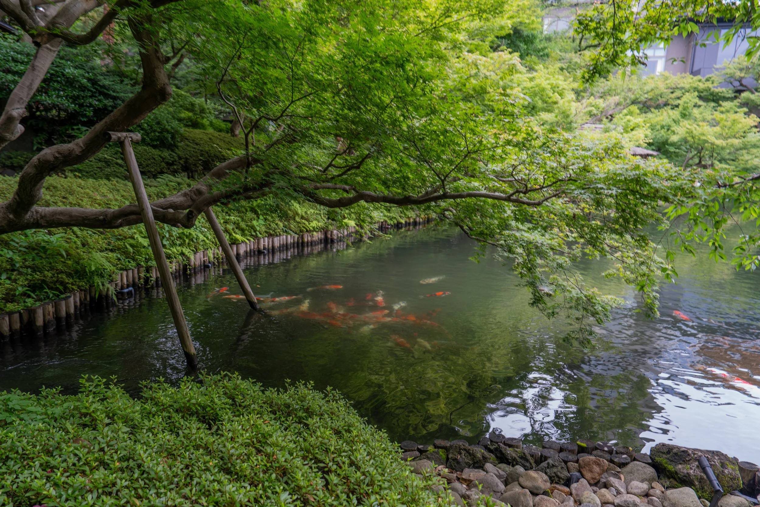 2026 Tokyo (519 of 610).jpg