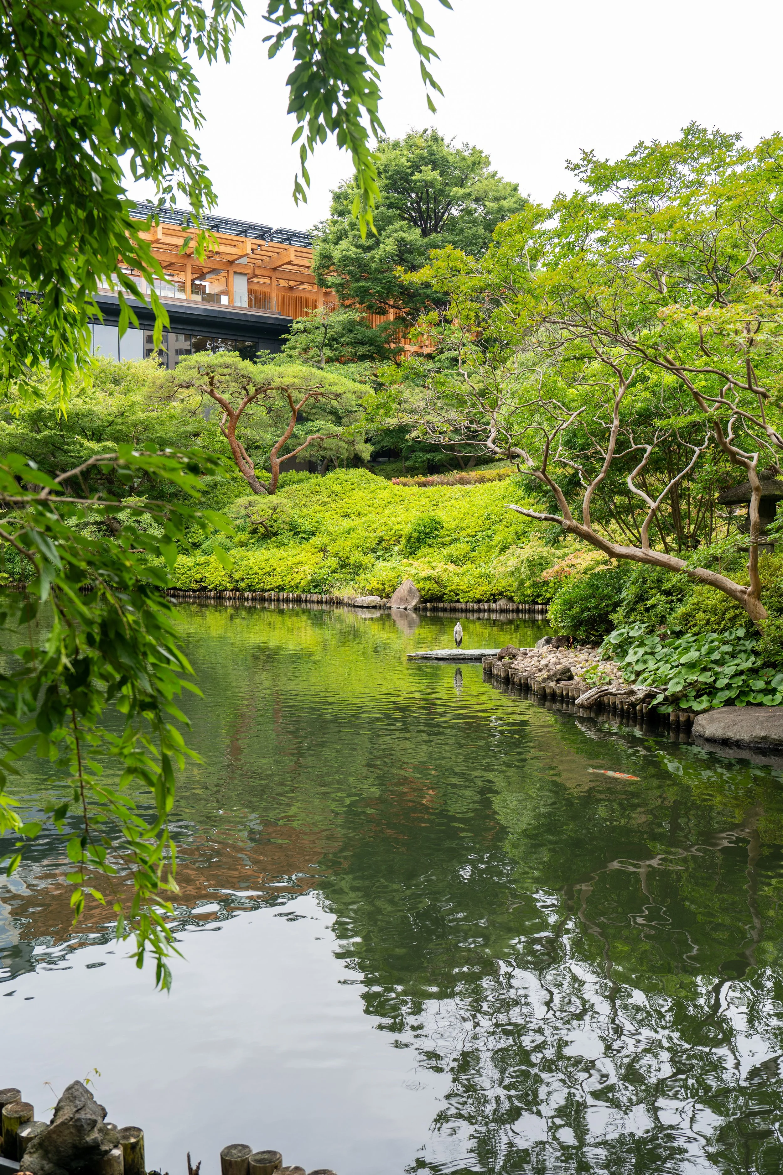 2026 Tokyo (522 of 610).jpg