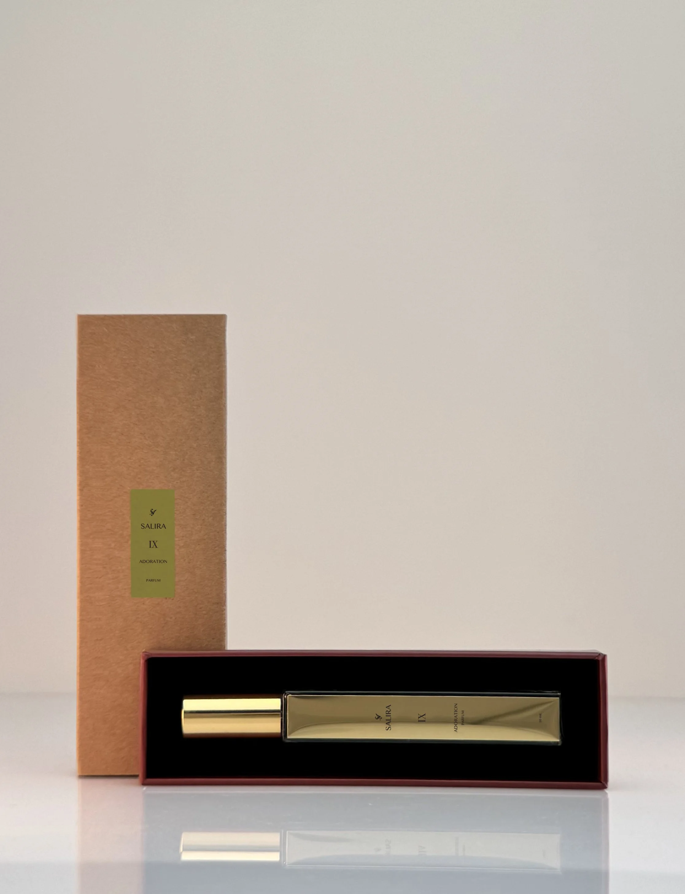 IX ADORATION TRAVEL CASE AND COVER Longer .jpg