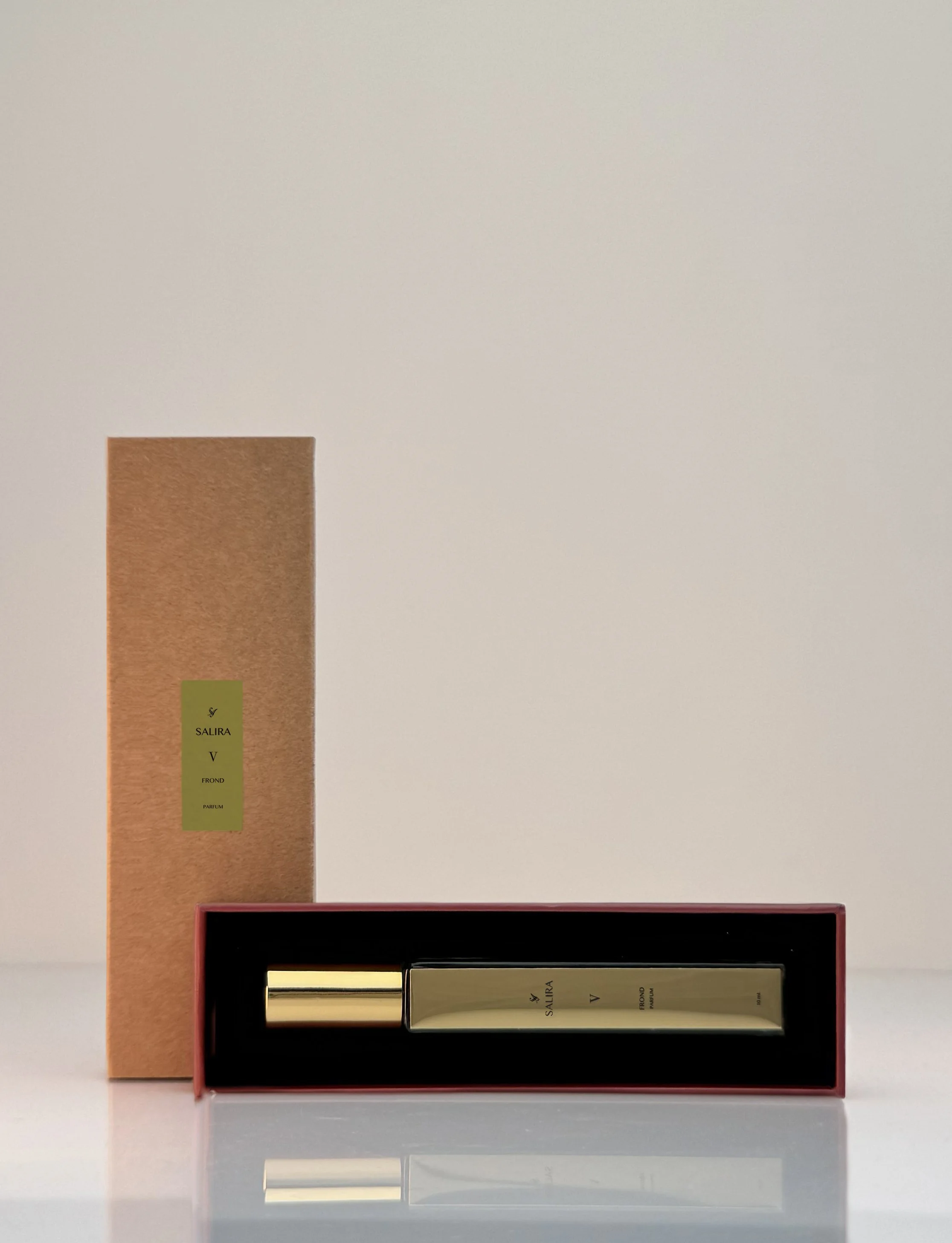 V FROND TRAVEL CASE AND COVER.jpg