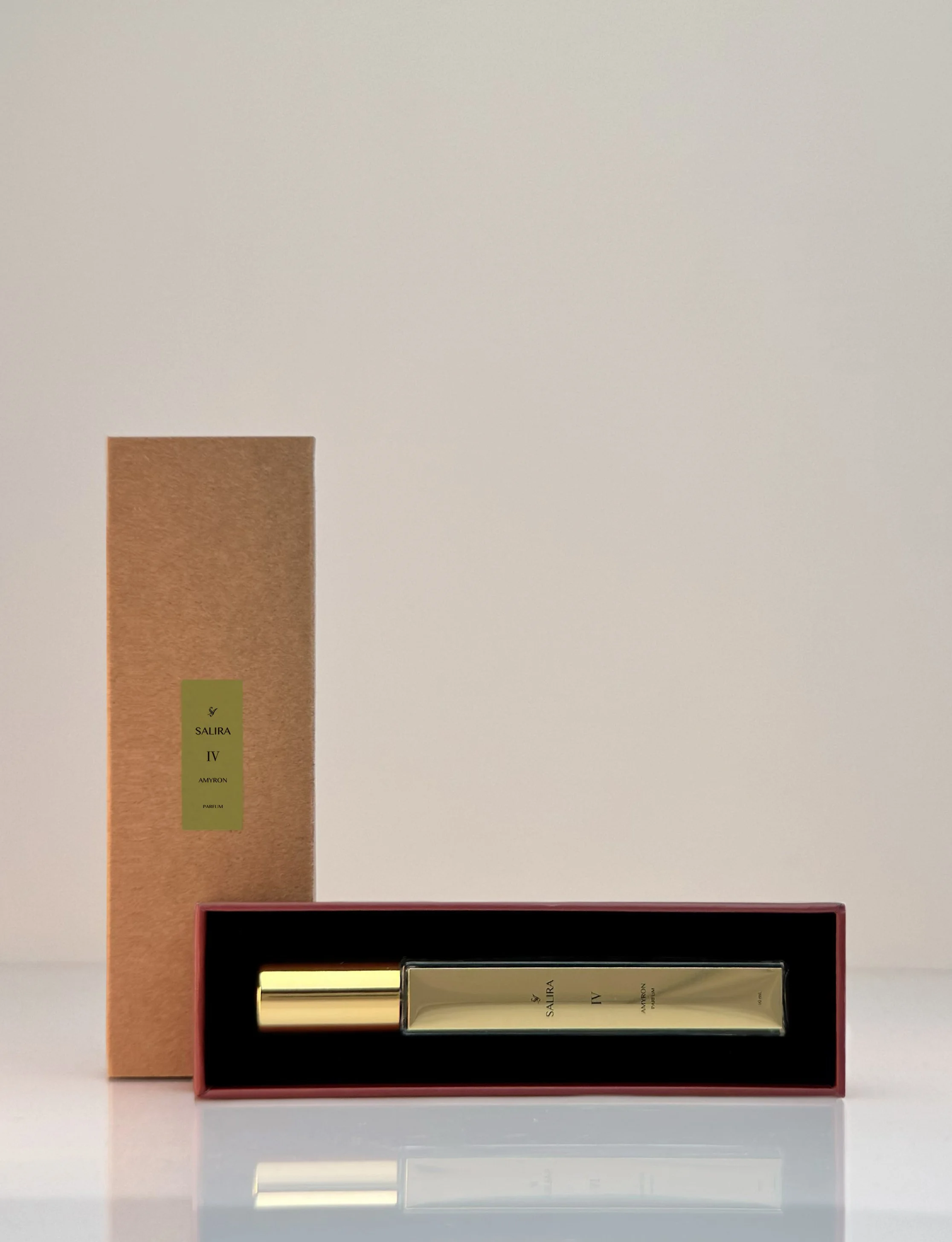 IV AMYRON TRAVEL CASE AND COVER.jpg