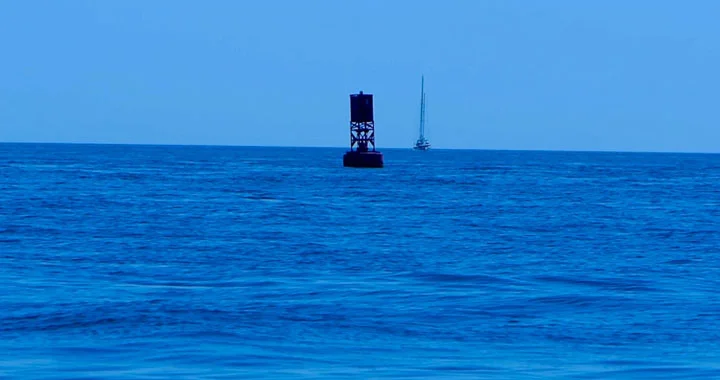 bell 8 cropped.jpg