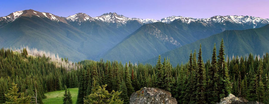 firstnaturetours-olympic.jpg