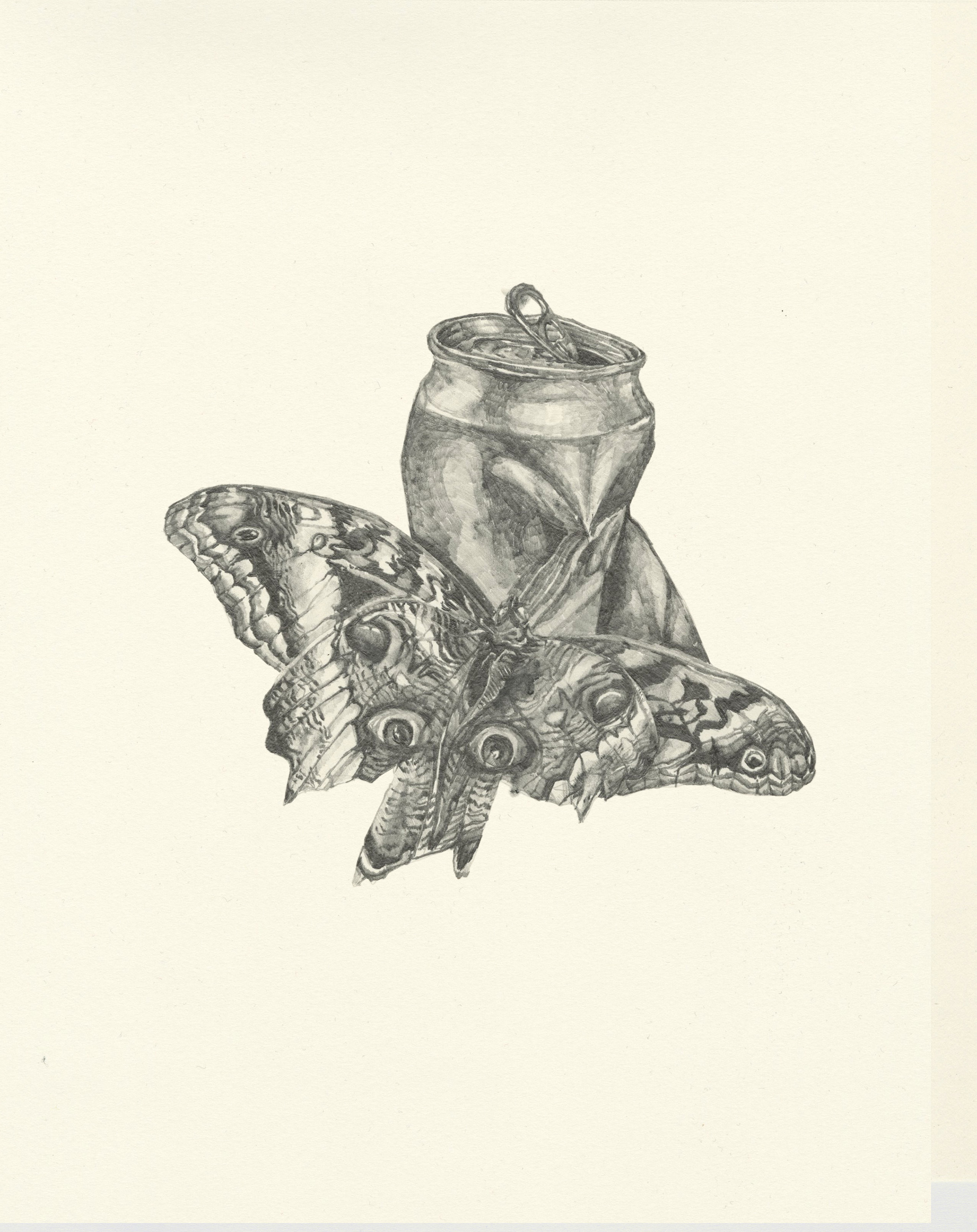My Boyfriend is a Peacekeeper xi | graphite on paper | 9.5INx12IN Excerpt from My Boyfriend is a Peacekeeper Book: I found that it felt even more empty so I was happy at first when two owl moths took shelter in its newly exposed cavity. The creatures were enormous, but comfortable, and had these eyes that stared at you a violent intensity, like a mad Courbet. 