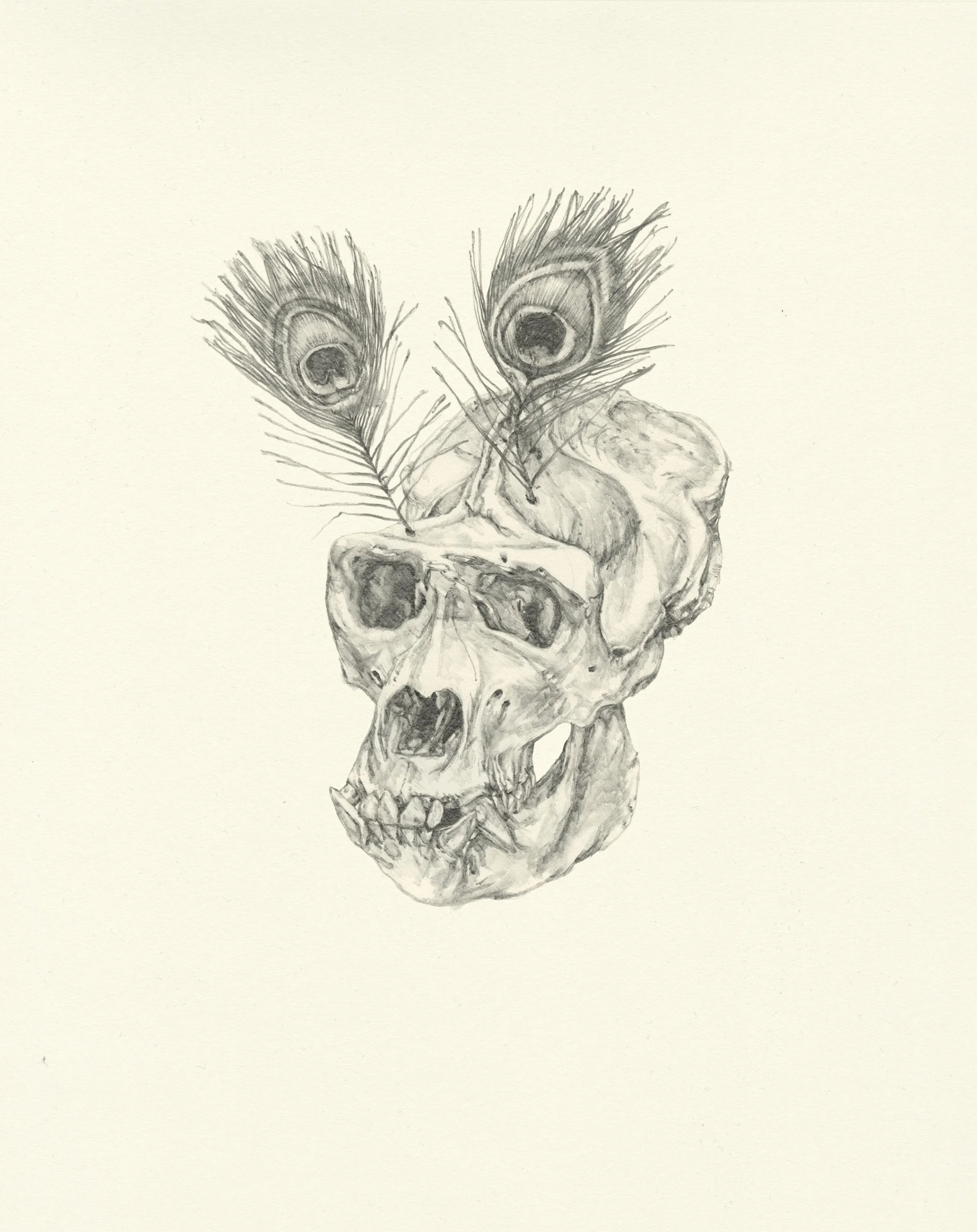 My Boyfriend is a Peacekeeper i | graphite on paper | 9.5INx12IN Excerpt from My Boyfriend is a Peacekeeper Book: I held it in my hand, a former bump in the road....The eye hollows were so deep and unsettling that eventually I gave it new eyes as a distraction. I thought that you would appreciate the humour. 