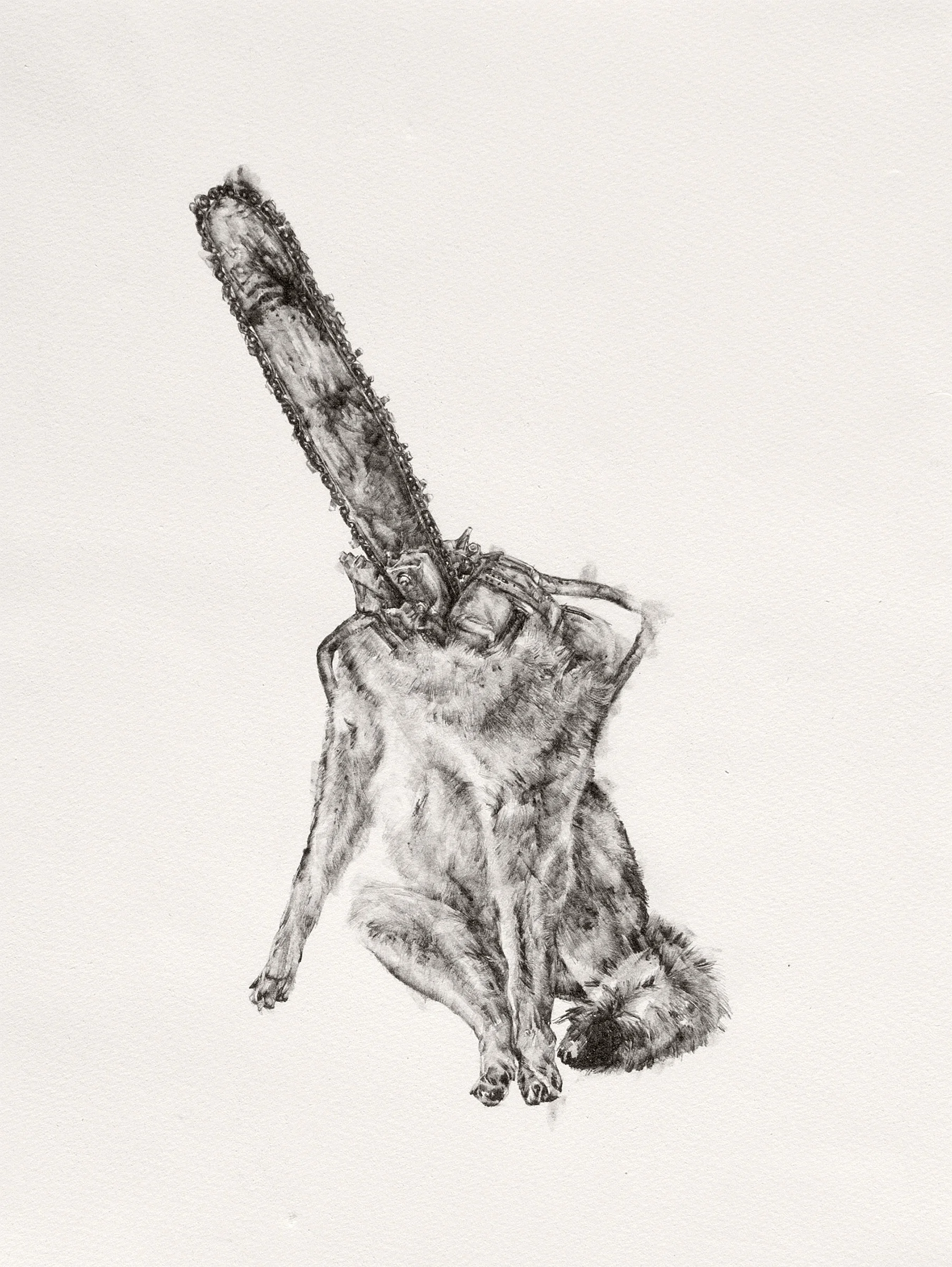 Dog, Chainsaw | graphite | 11"x15" | 2015