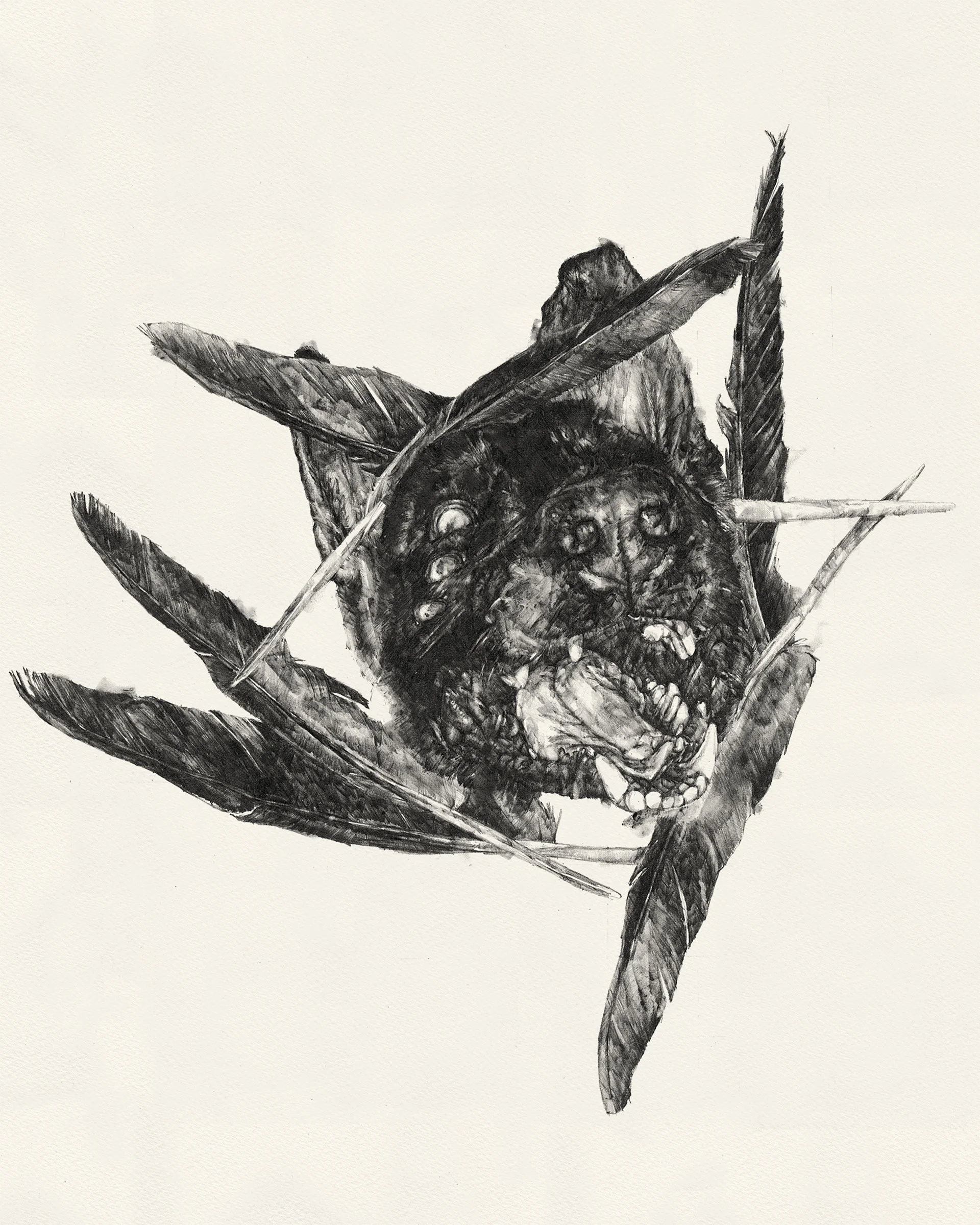 Pre-Mourning Monster | graphite | 19"x19" | 2015