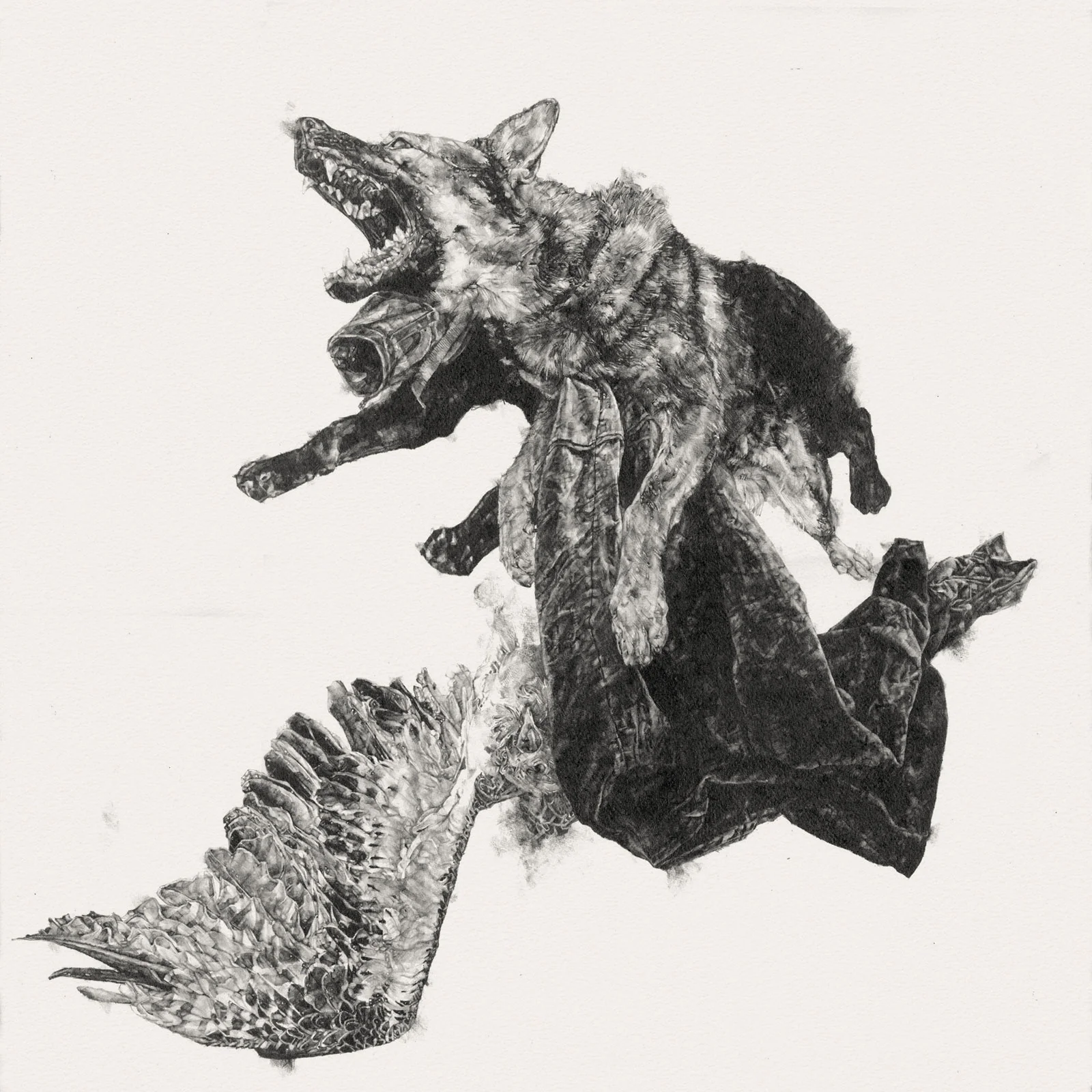 Like Milk & Blood iii | graphite on paper | 22INx22IN