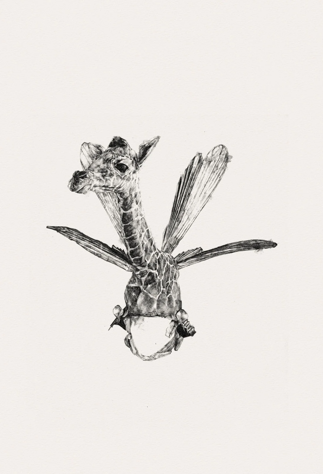 Like Milk & Blood iv | graphite on paper | 15INx22IN