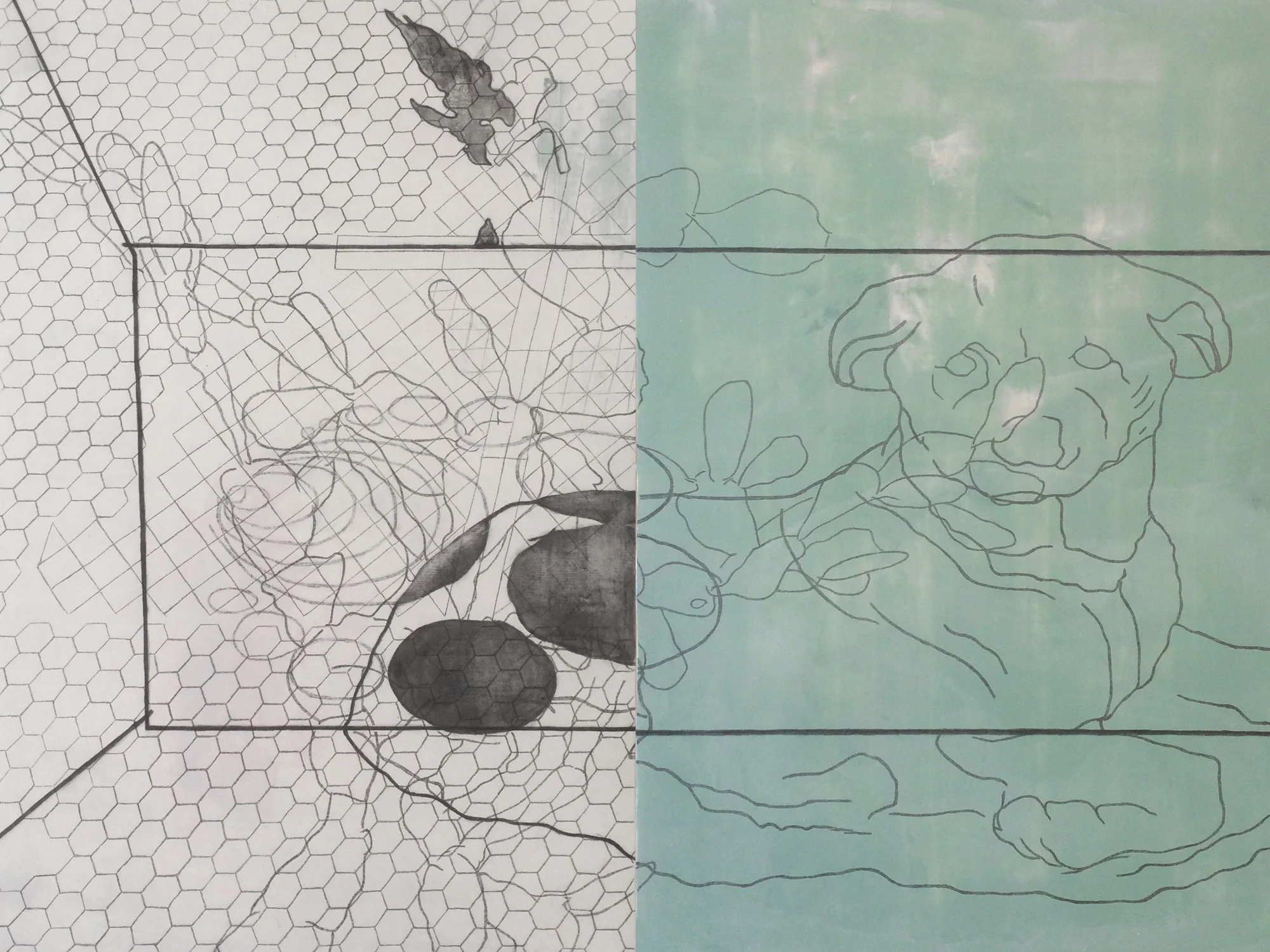 Coffin for Dian Fossey : detail | graphite and acrylic on panel | 36INx48IN