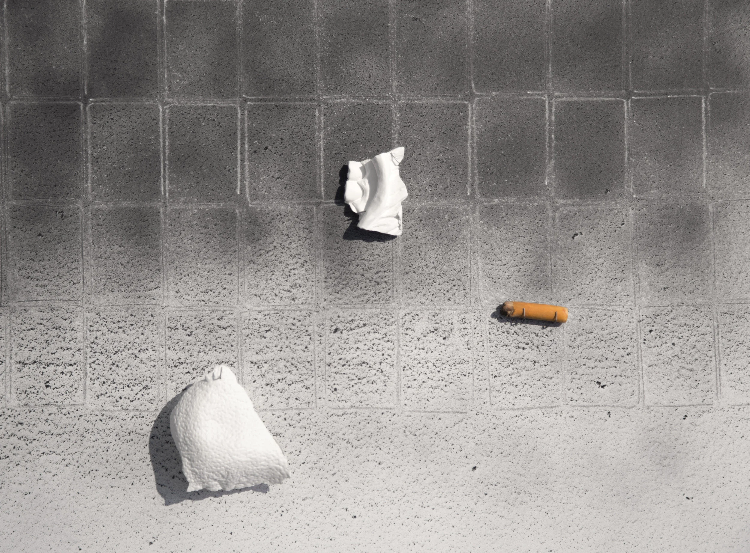 Stars at elbow and foot, or, Poem for Fossey | installation: 550 Gallery | mixed media