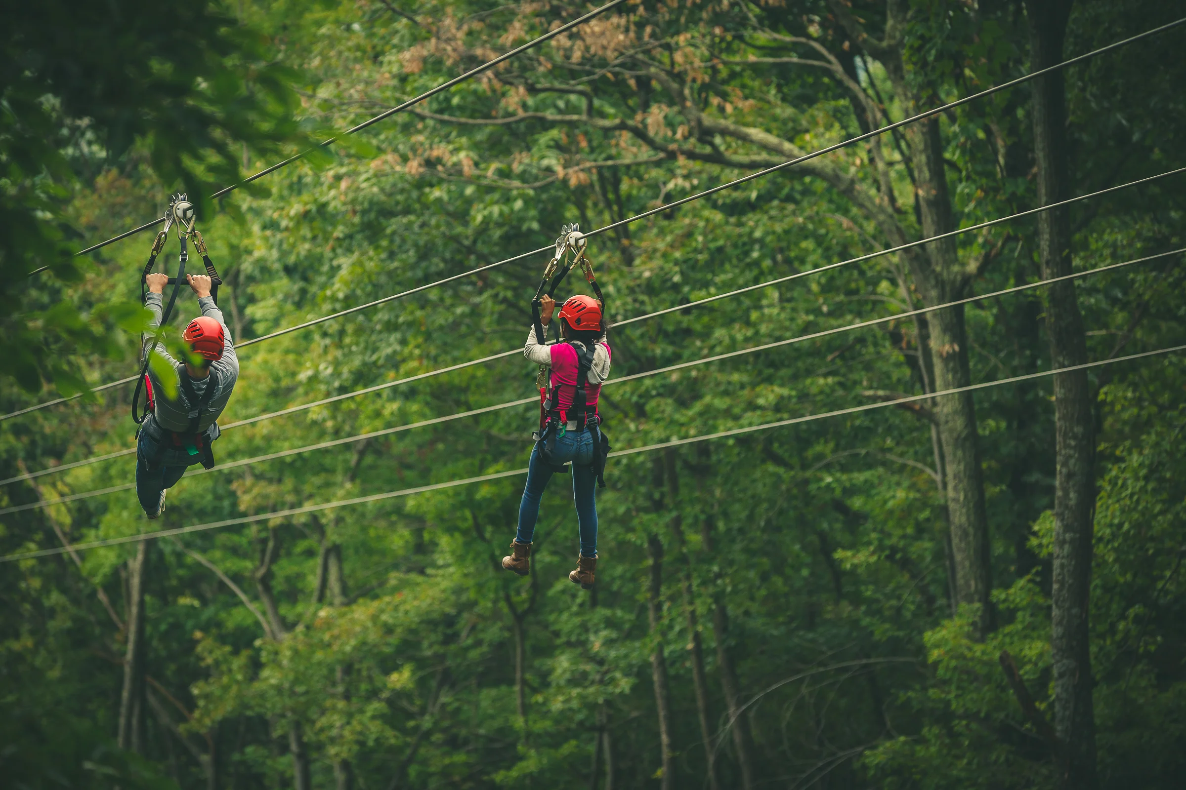 zip line.jpg