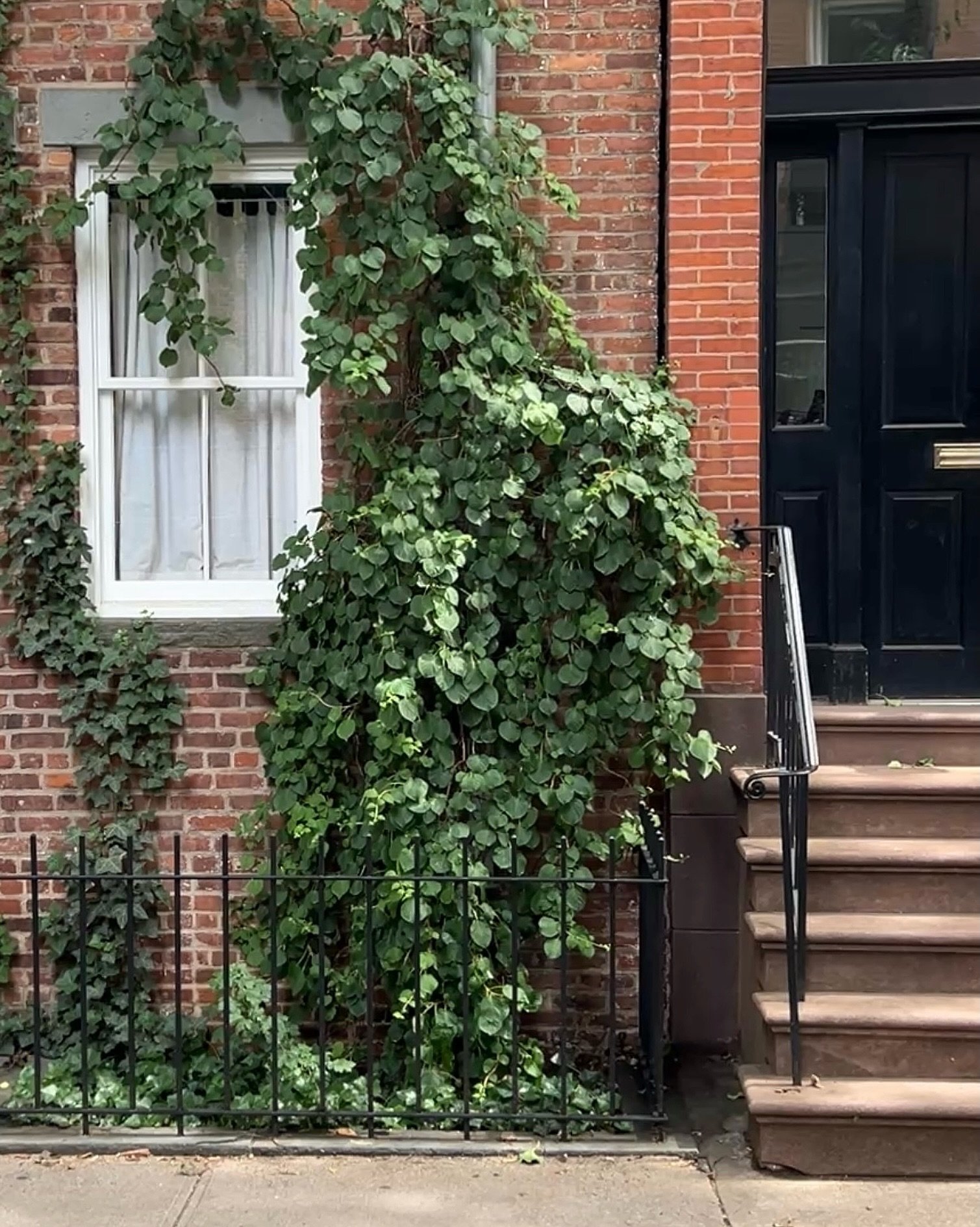 a lovely day in the neighborhood 🌱