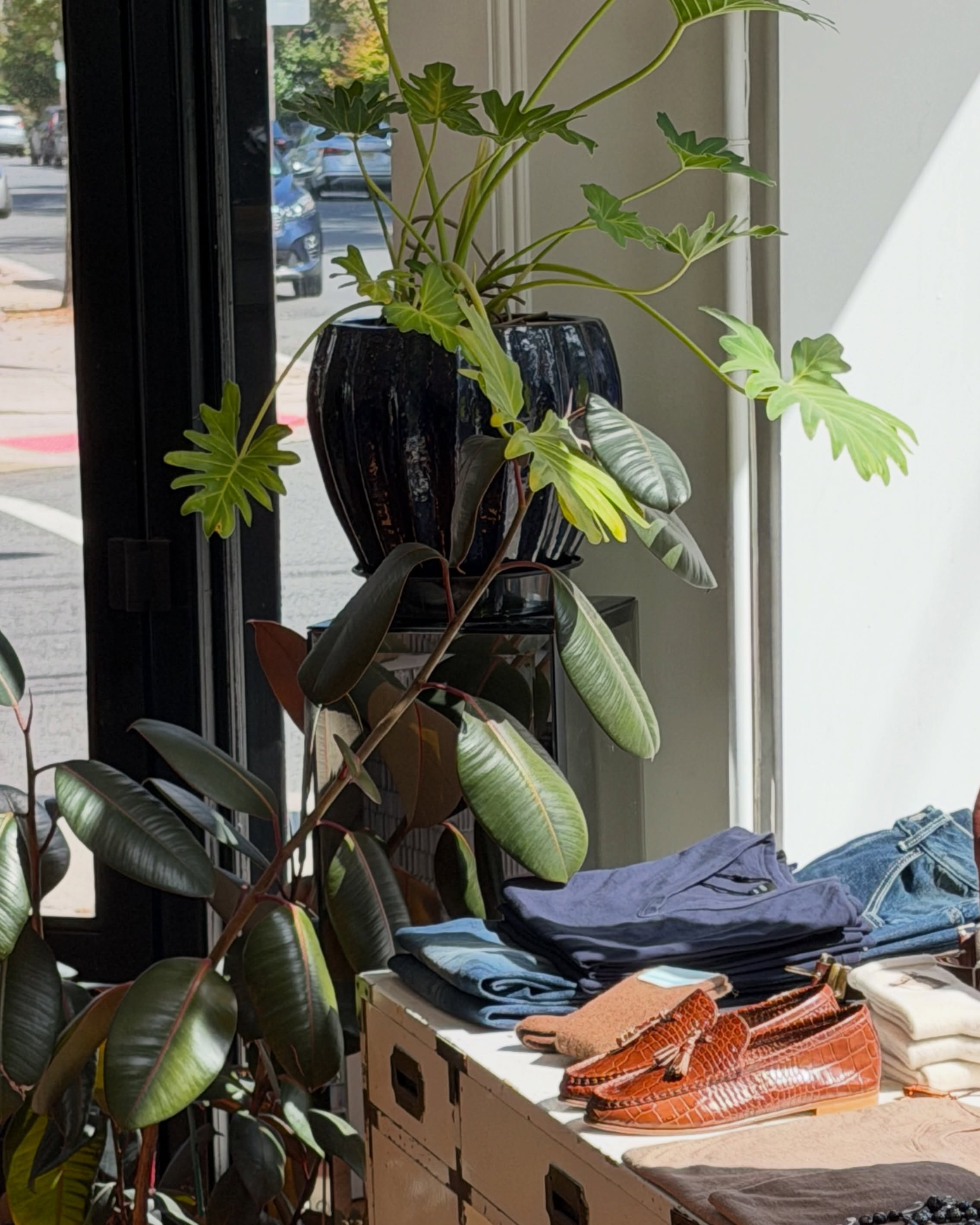 it&rsquo;s a beautiful day in the neighborhood 🌞🌱