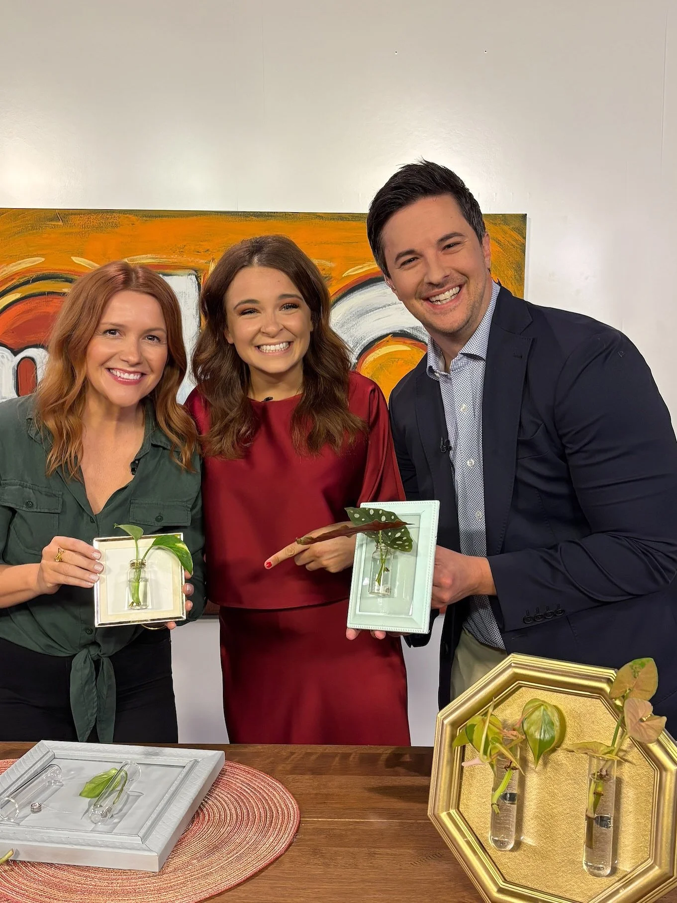 This morning I was back on @mykclive with another DIY segment&hellip;this time a super easy plant propagation wall art tutorial! 🌱 ✂️ 

✨ You can watch the full segment via the link in my stories or highlight bubble + get the full blog tutorial and 