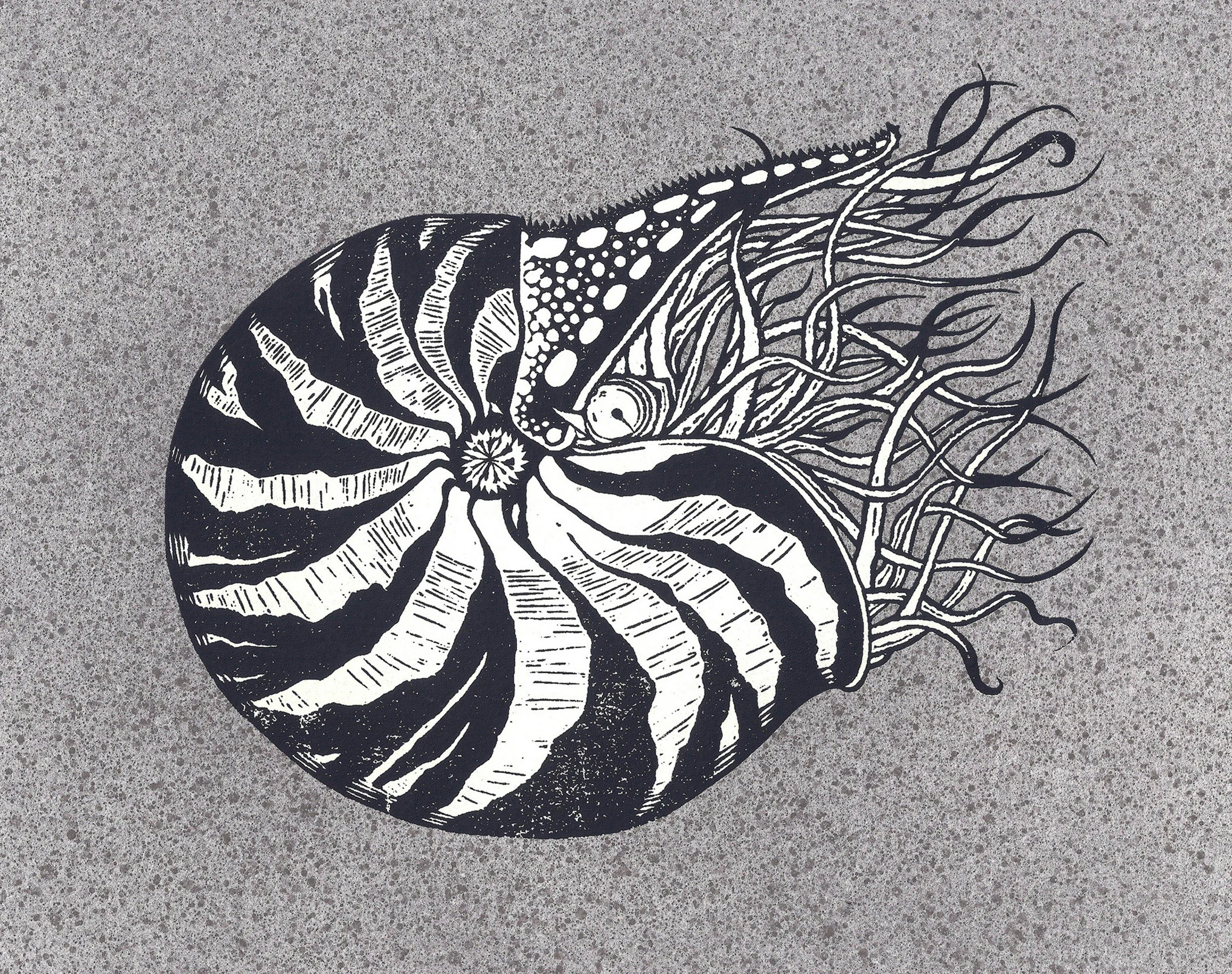 NAUTILUS RAMPANT, SILKSCREEN FROM WOODCUT, 8" X 10", 2017