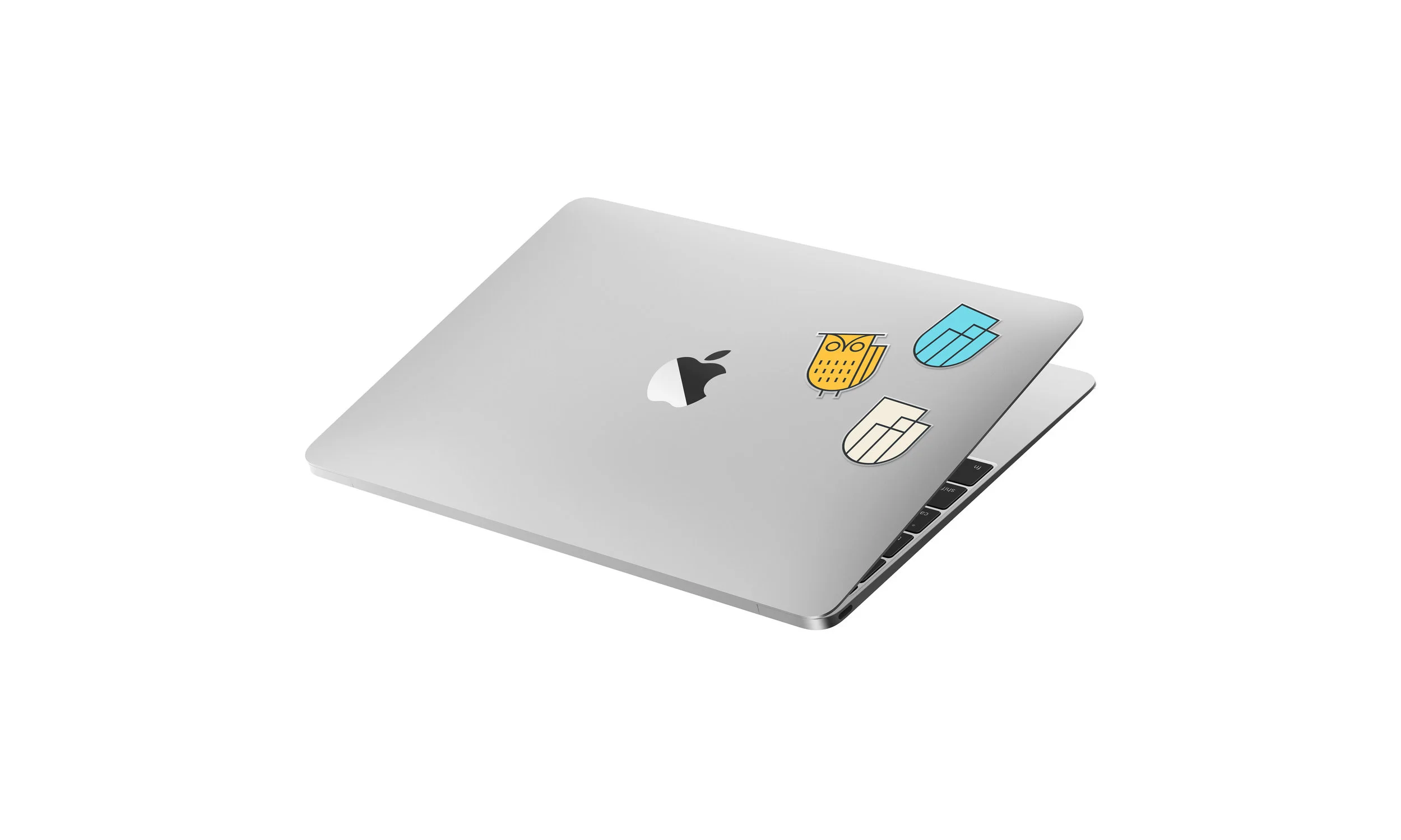 WNS+Cover+Image (1).jpg