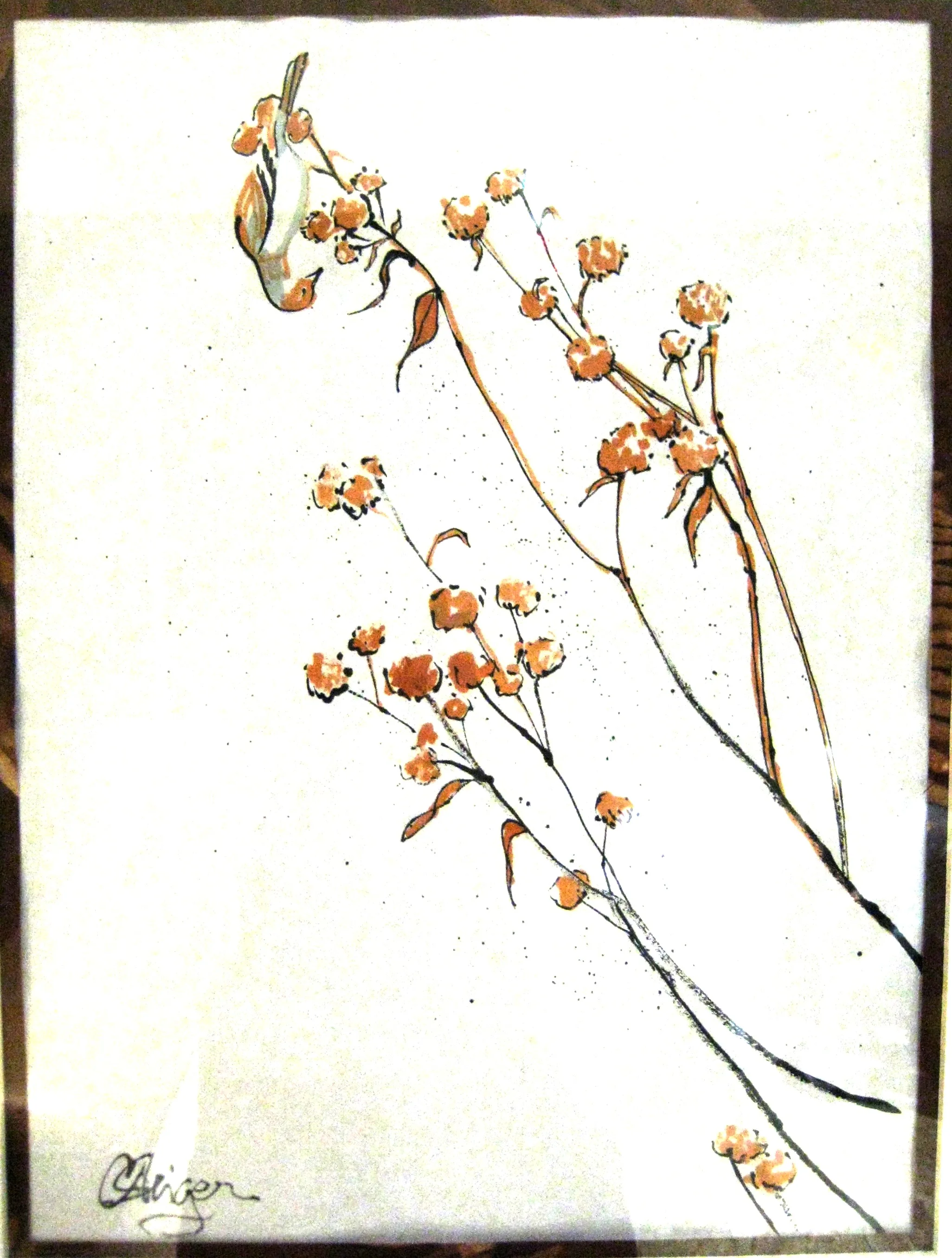 Dried Weeds.jpeg