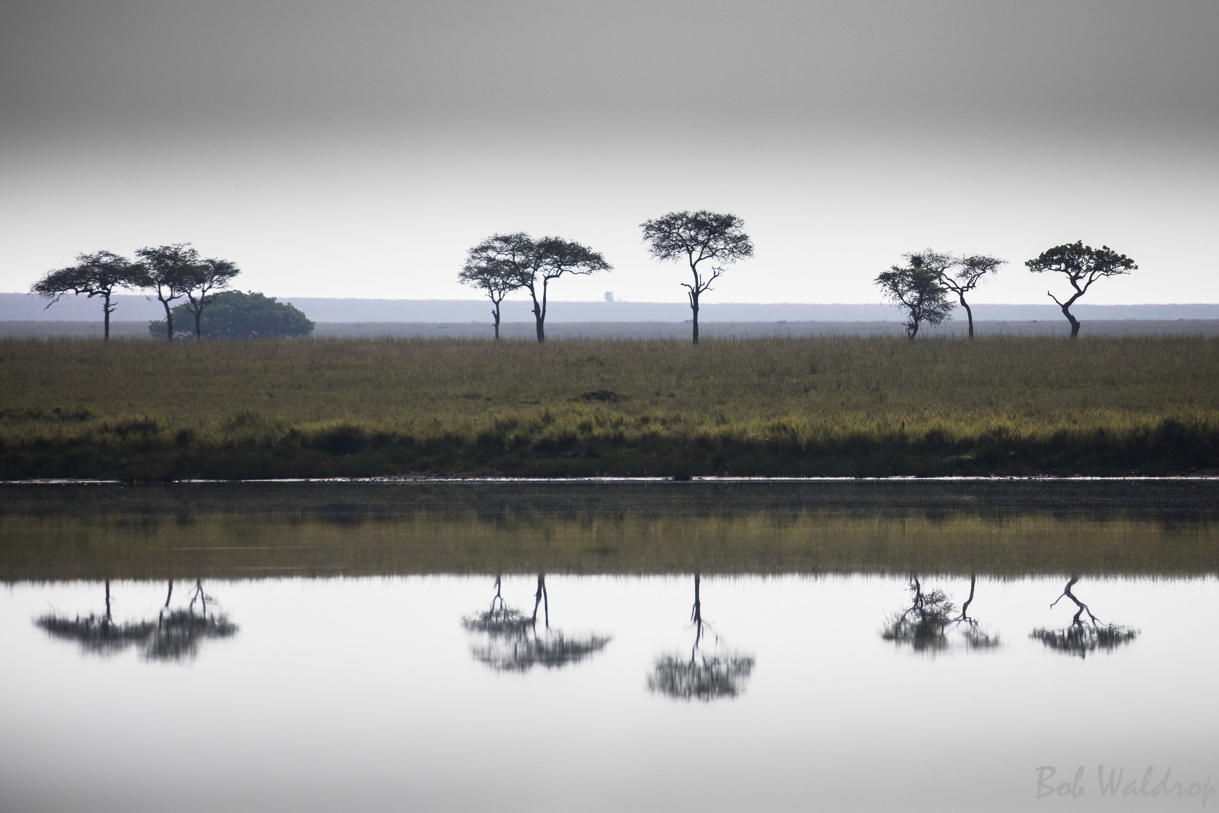 Serengeti-8025.JPG