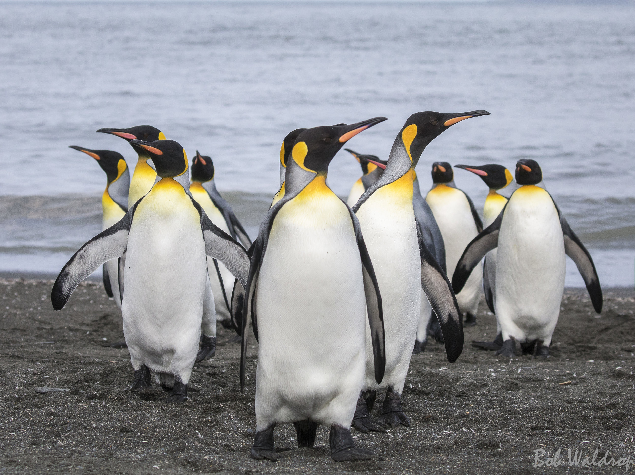 Antarctica-0700-Edit.JPG