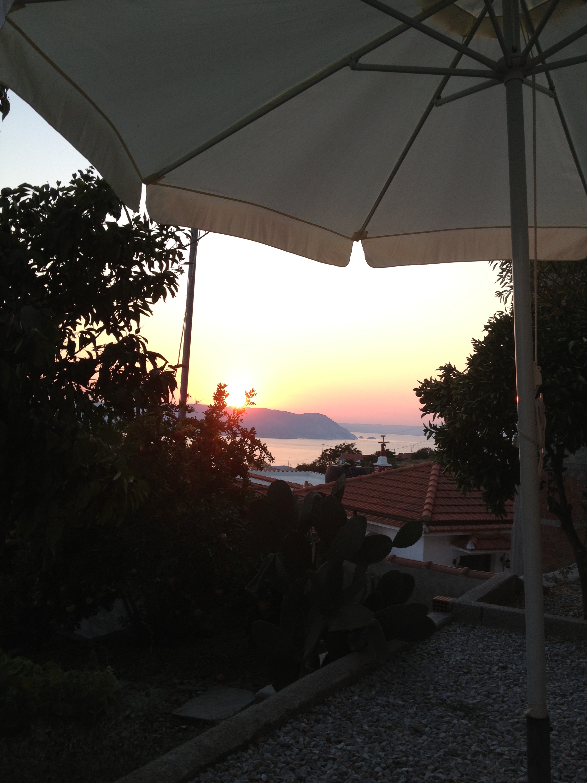 Garden at Sunset.JPG