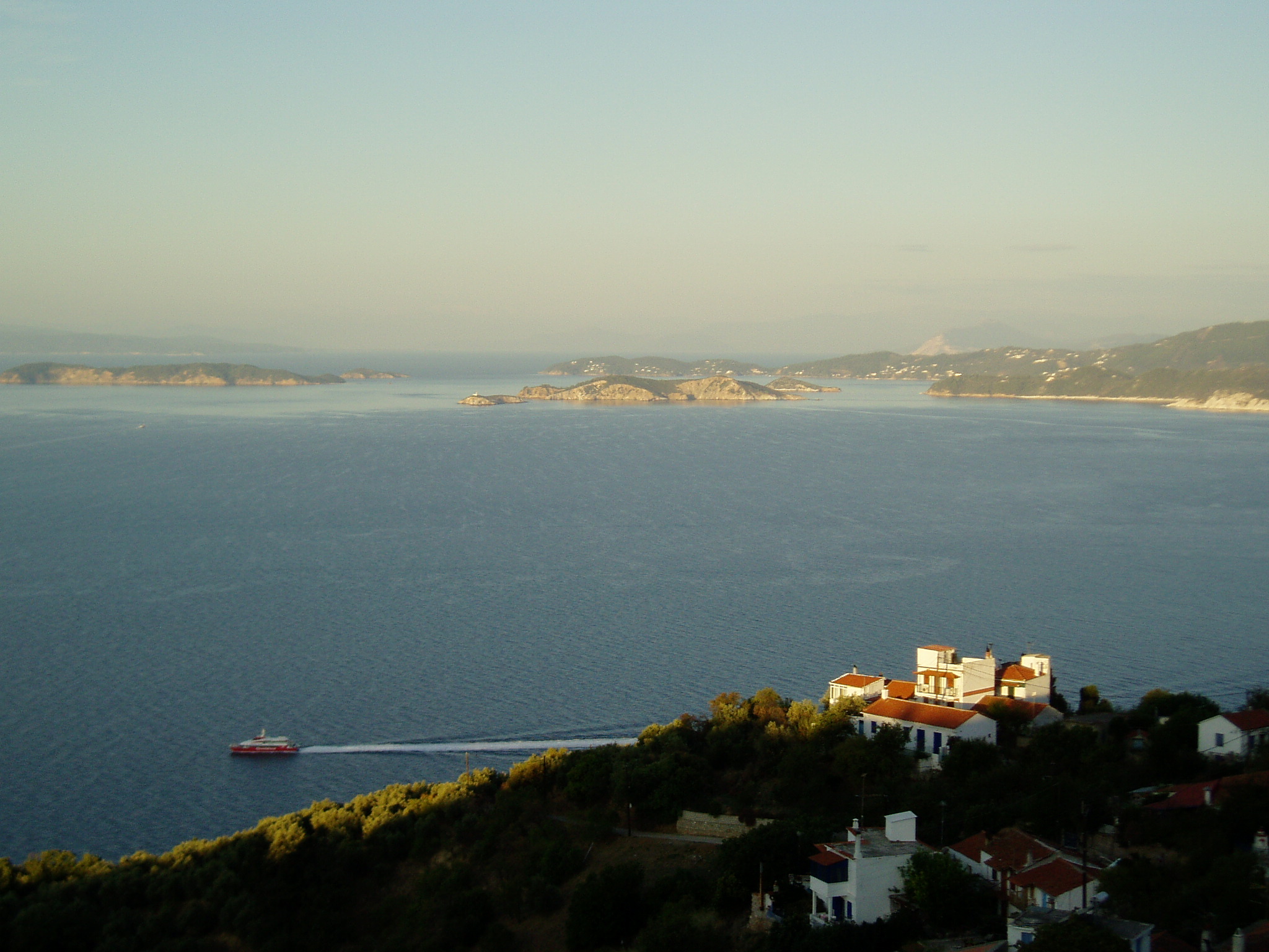 Morning Flying Cat.JPG