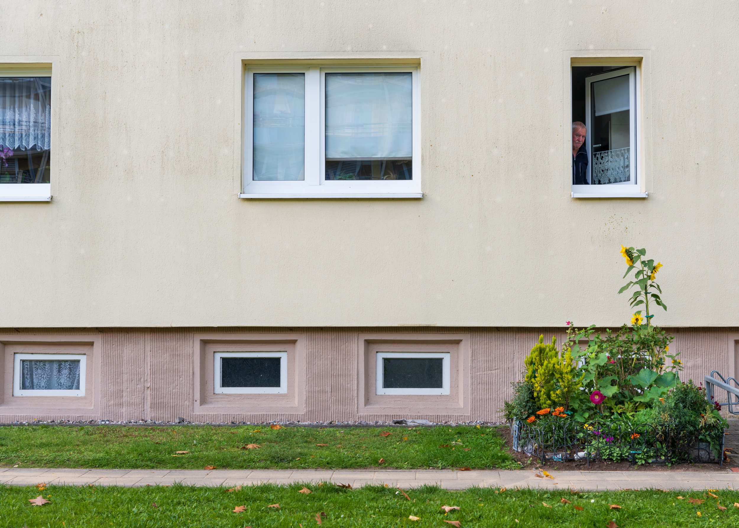 Der Garten