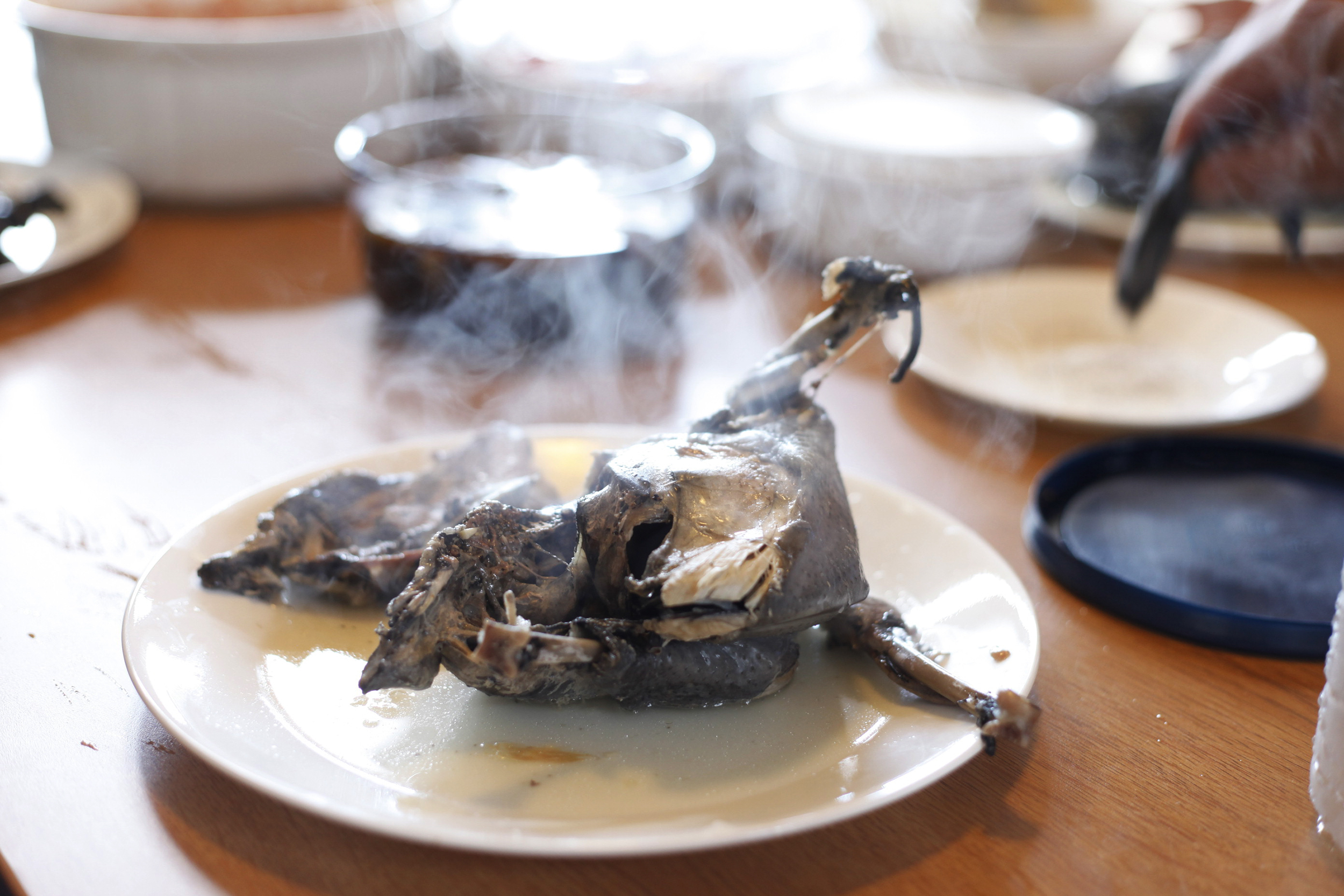 Steaming black chicken, pulled from Korean gingseng soup to cool. It is believed to cure sickness.