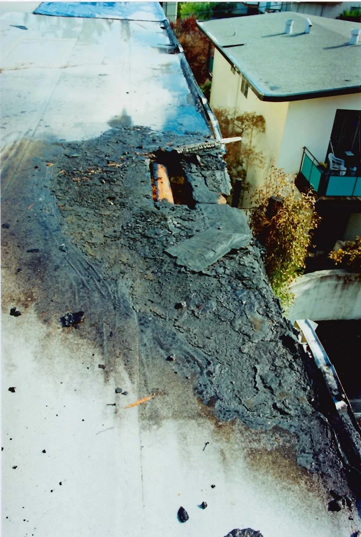 Luciano vs. Silverstone APT Fire