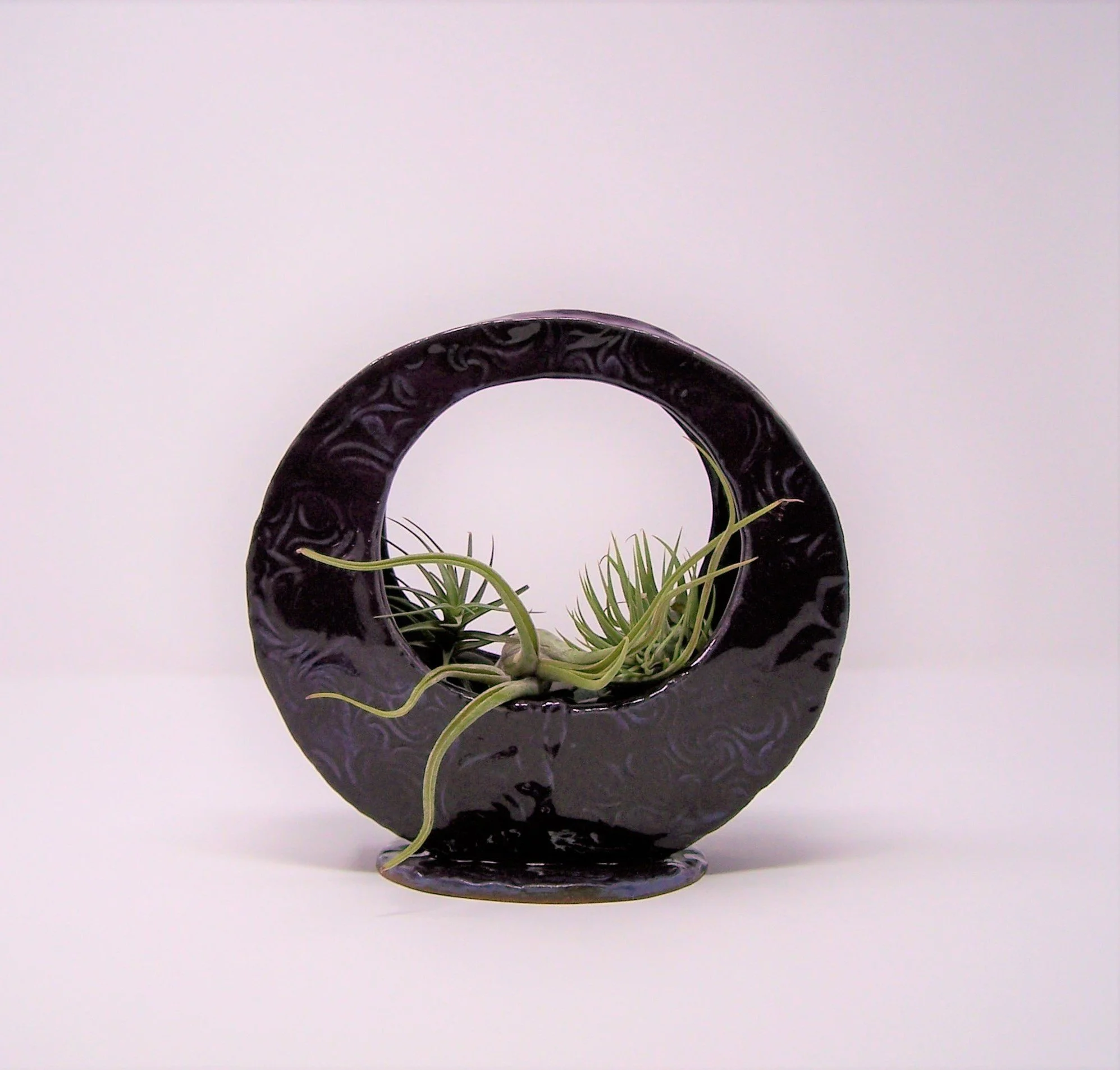 Air Plant Holder