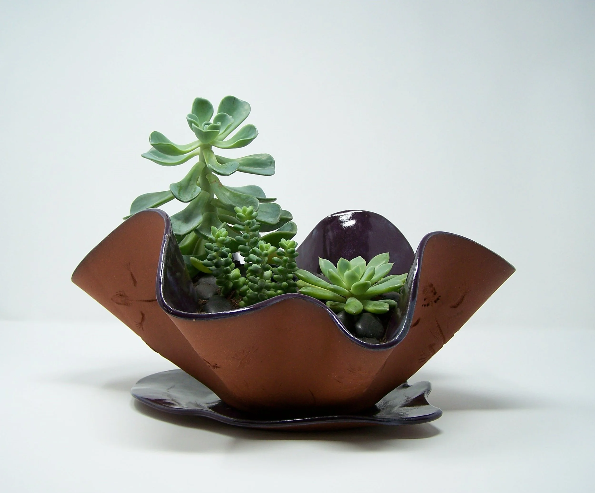 Succulent Planter Medium
