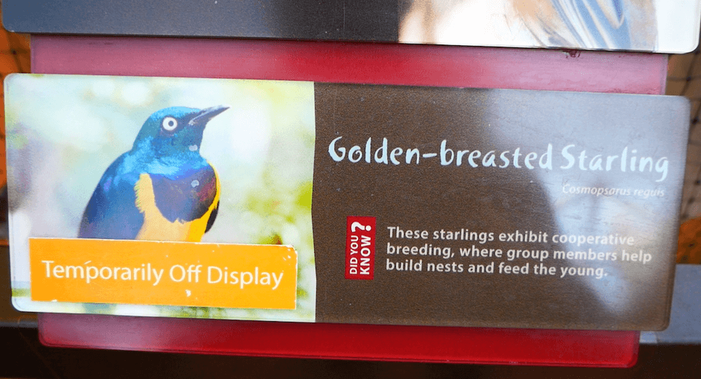 doorly-bird-omaha-zoo.png
