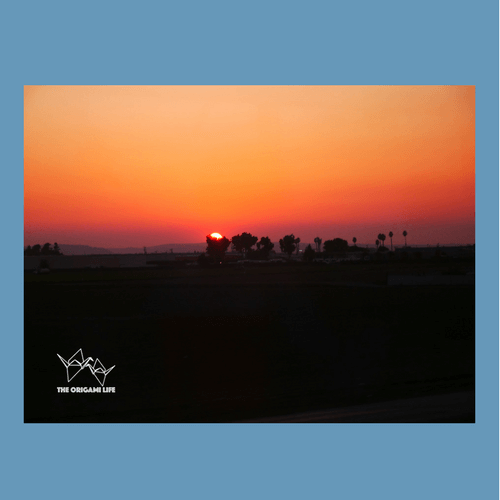 Watching the sunset from the train.