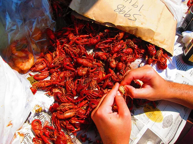 Crawfish in New Orleans | Source: Flicker