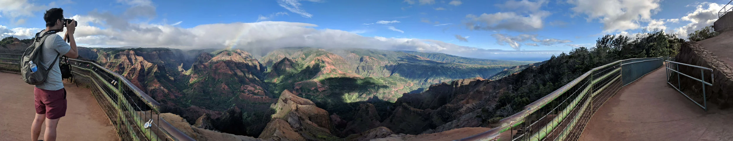 A panoramic view of the Waimea Canyon.