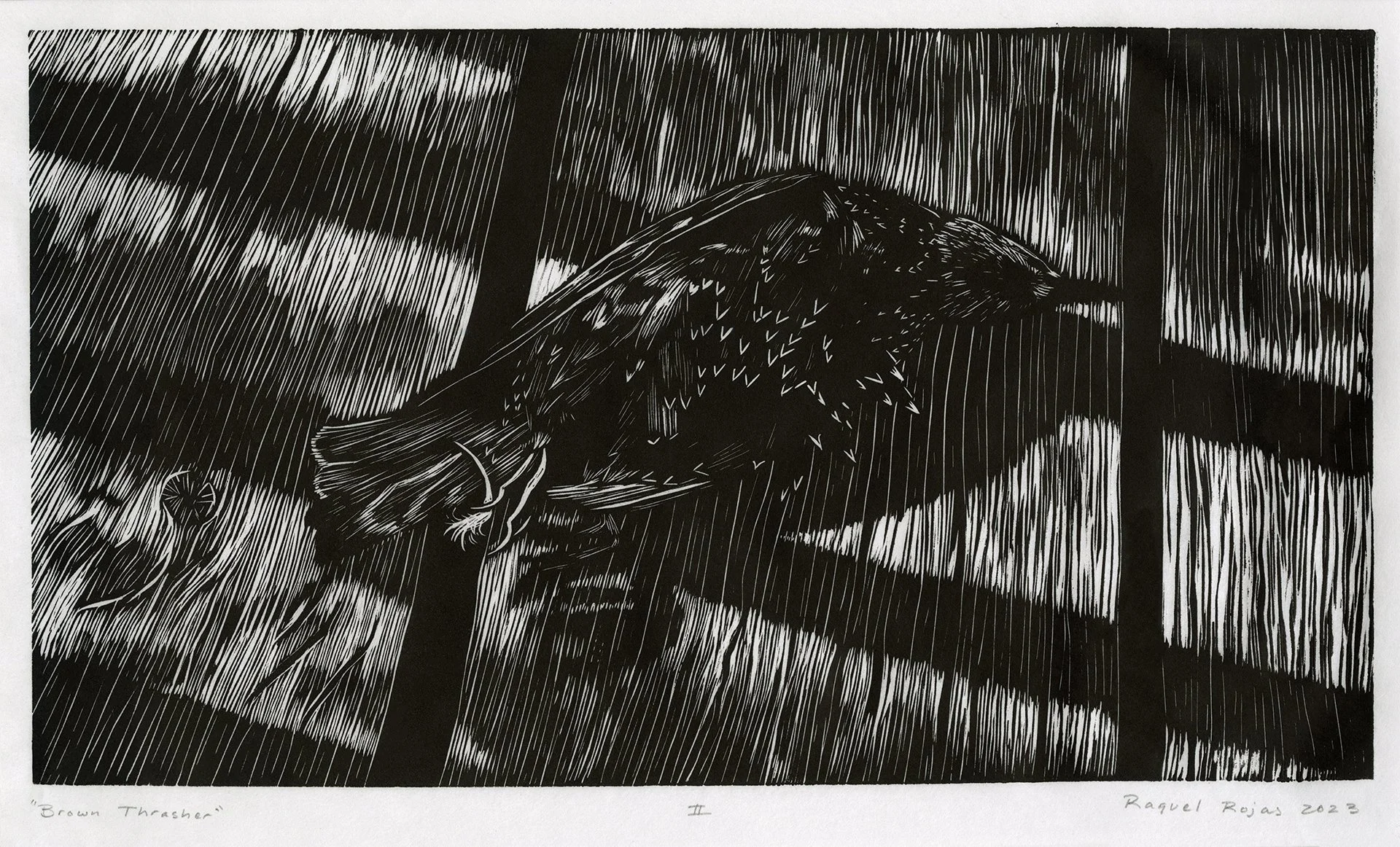 Raquel Rojas, undergraduate