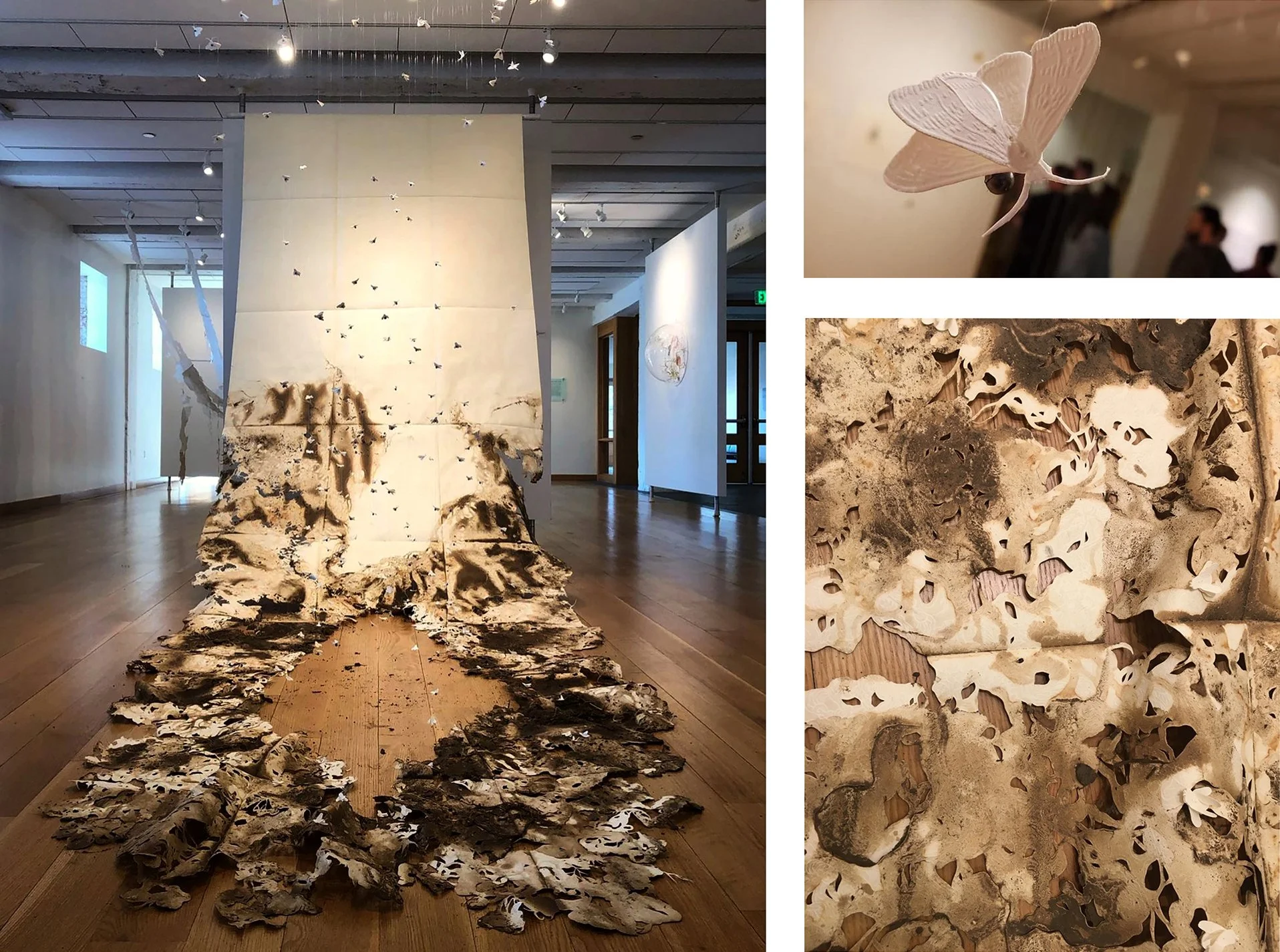 Sam Walton, graduate