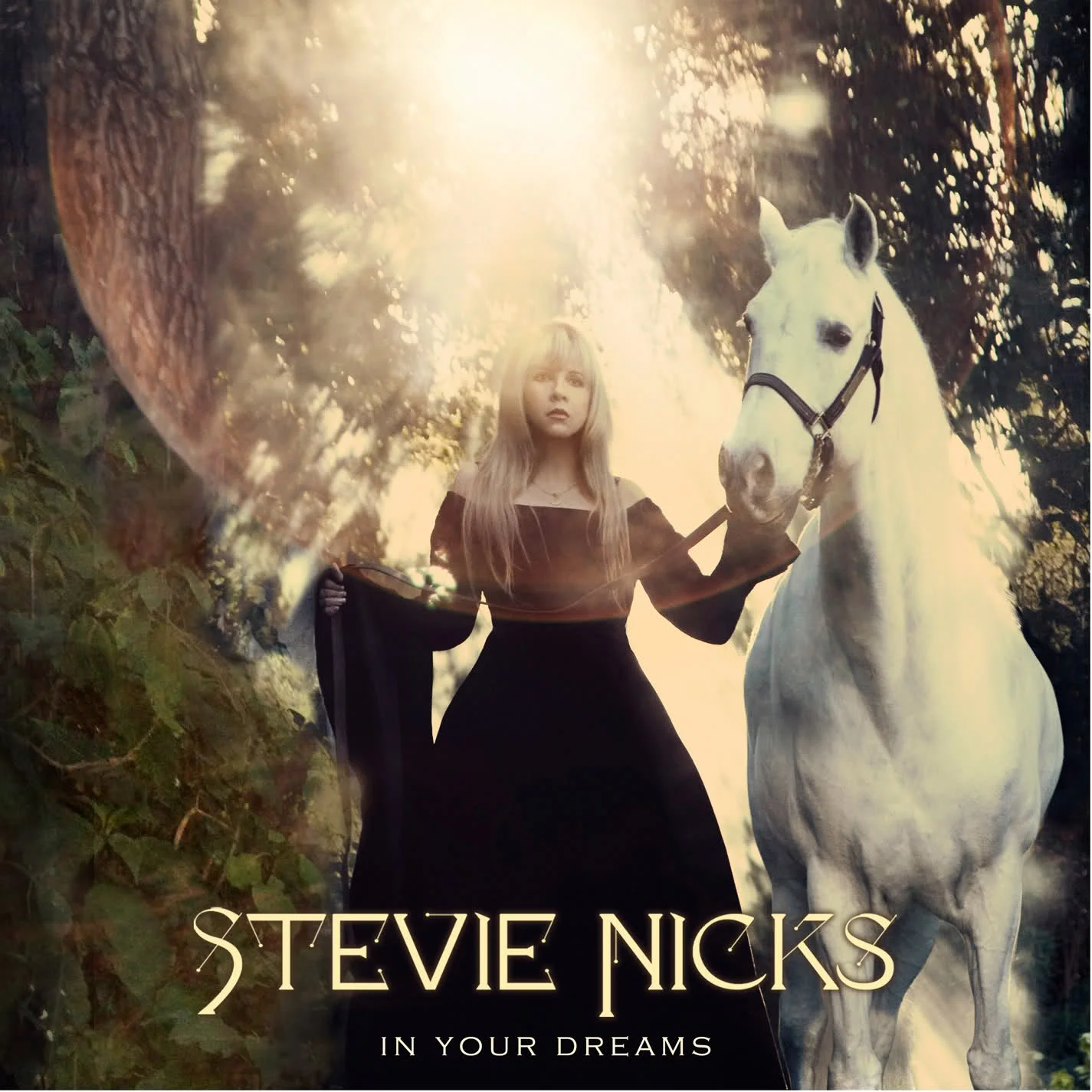 Stevie-Nicks_In-Your-Dreams.jpeg