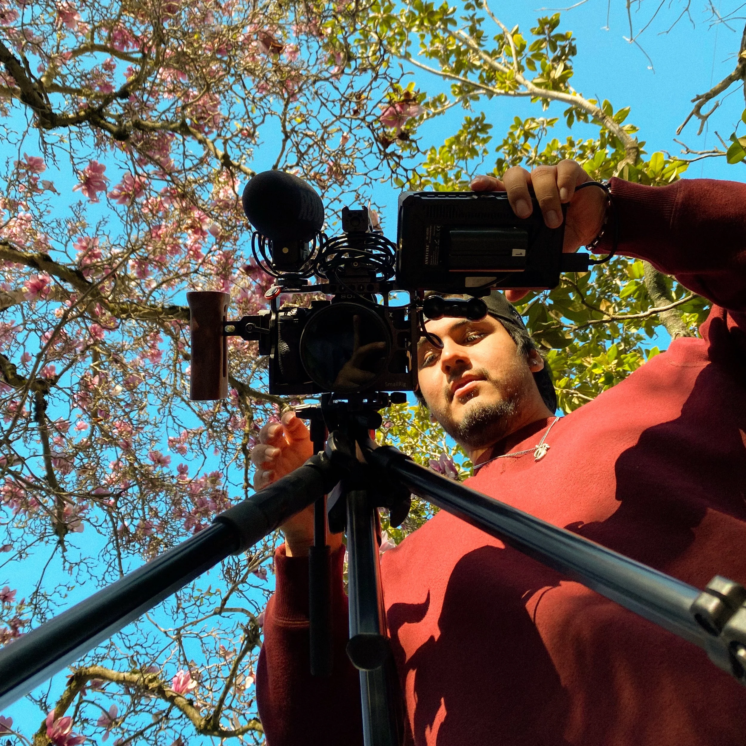 Why Visuals Are Special