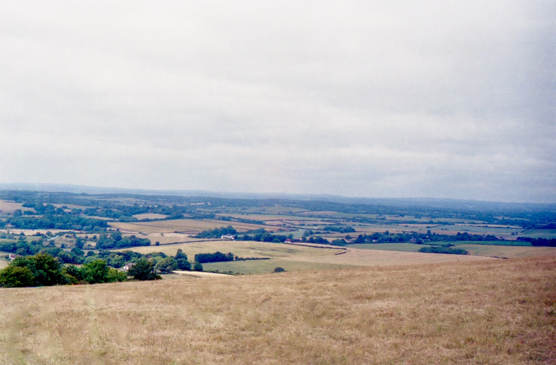 Burnt grass, West Sussex, London, England (Summer 2104) // Kodak Portra 160, Olympus Om-2n, Epson V330 // Regeneration is nature's natural ability, if we don't interfere with it. Here is a simple example of some burnt grass in the English countryside. What once was green is now brown and will restore itself back to green again. 
