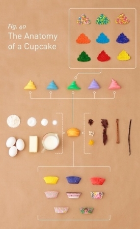 The Anatomy of a Cupcake , Patricia Sanchez