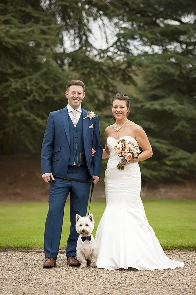 Bride-and-groom-dog-in-reverie.jpg