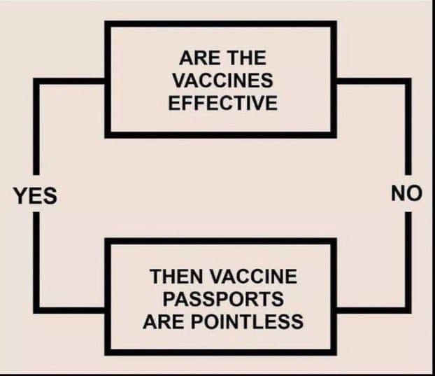 Vaccine passports.jpg